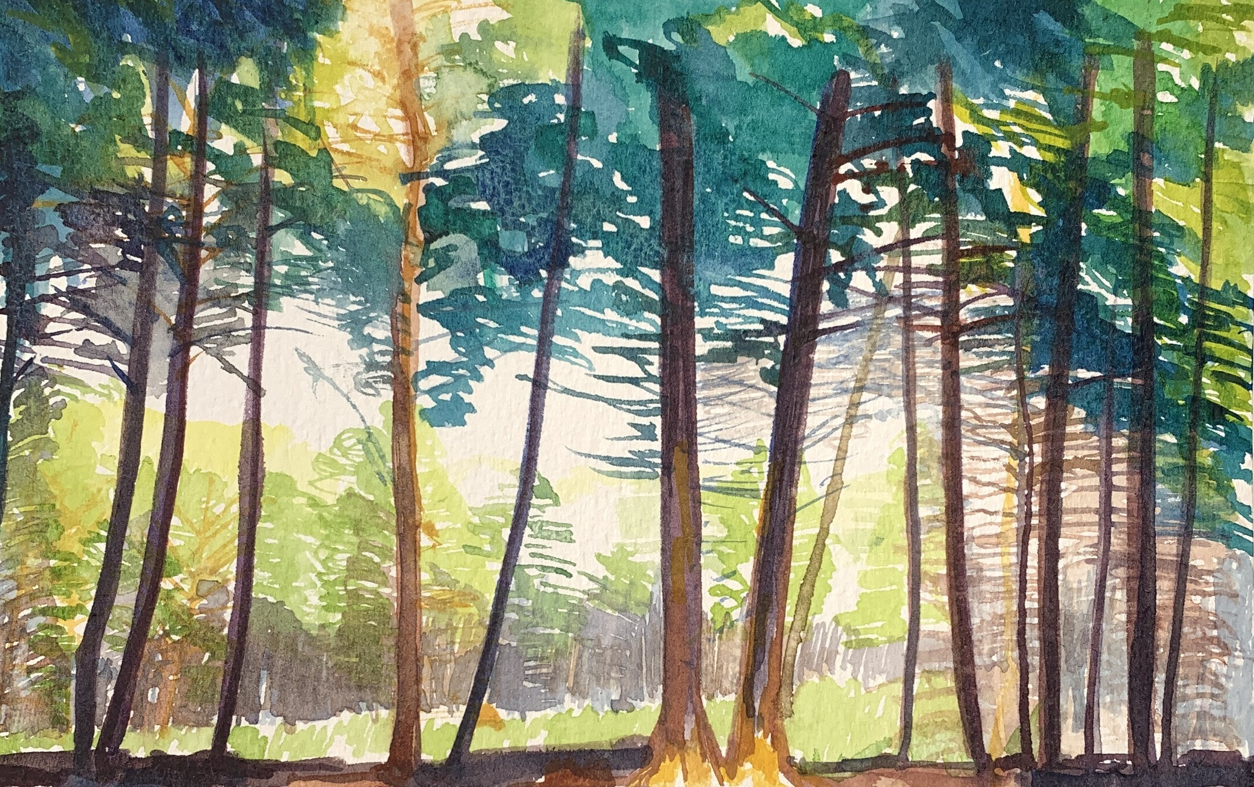 watercolour on paper
14 x 21cm