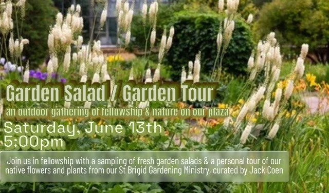 Garden Salad / Garden Tour
