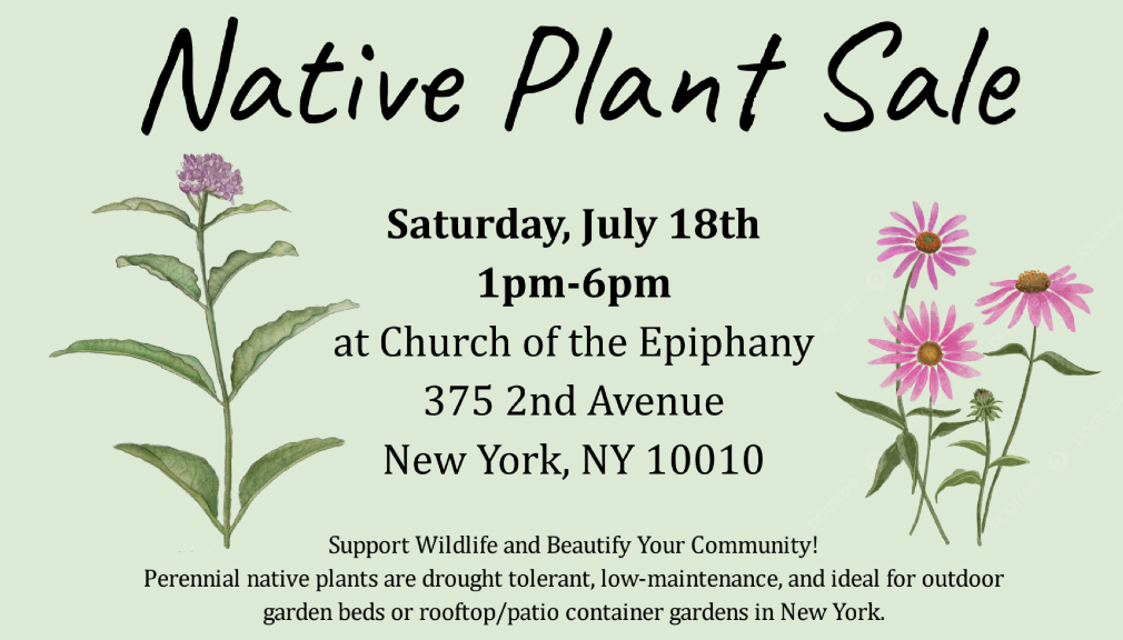Native Plant Sale