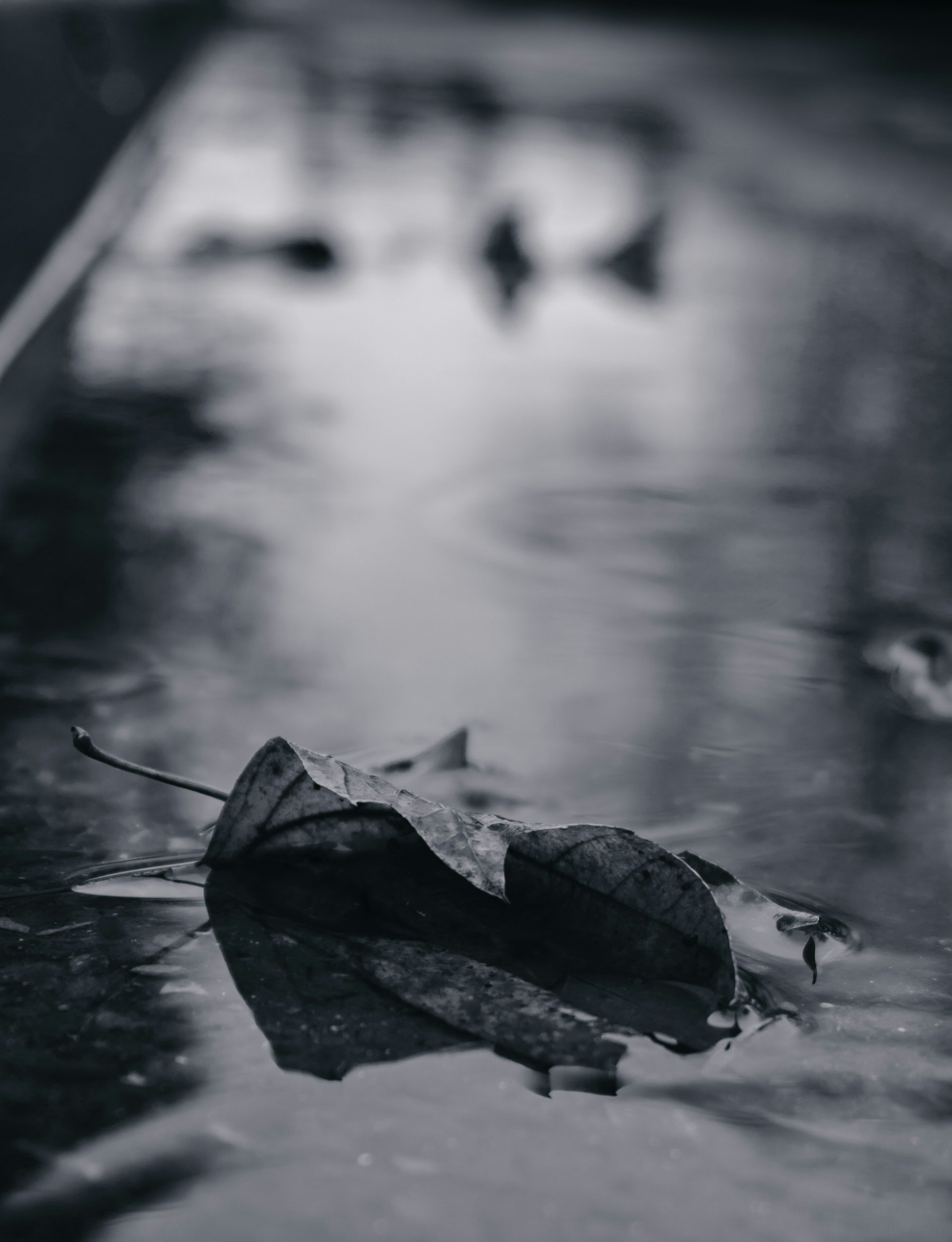 Why Grief Gets Louder in the Fall