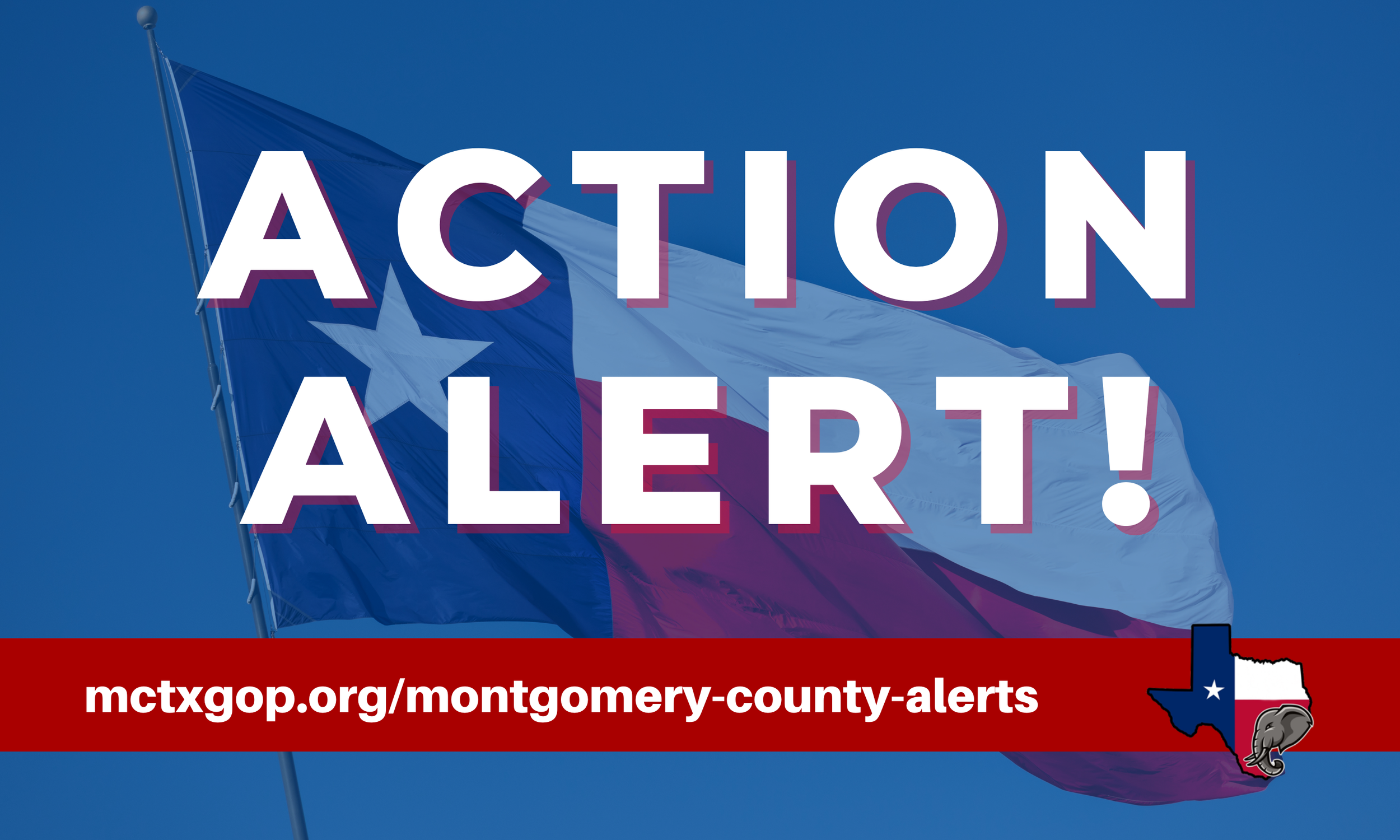 Take Action on Noncitizens Voting in Texas! — Montgomery County ...