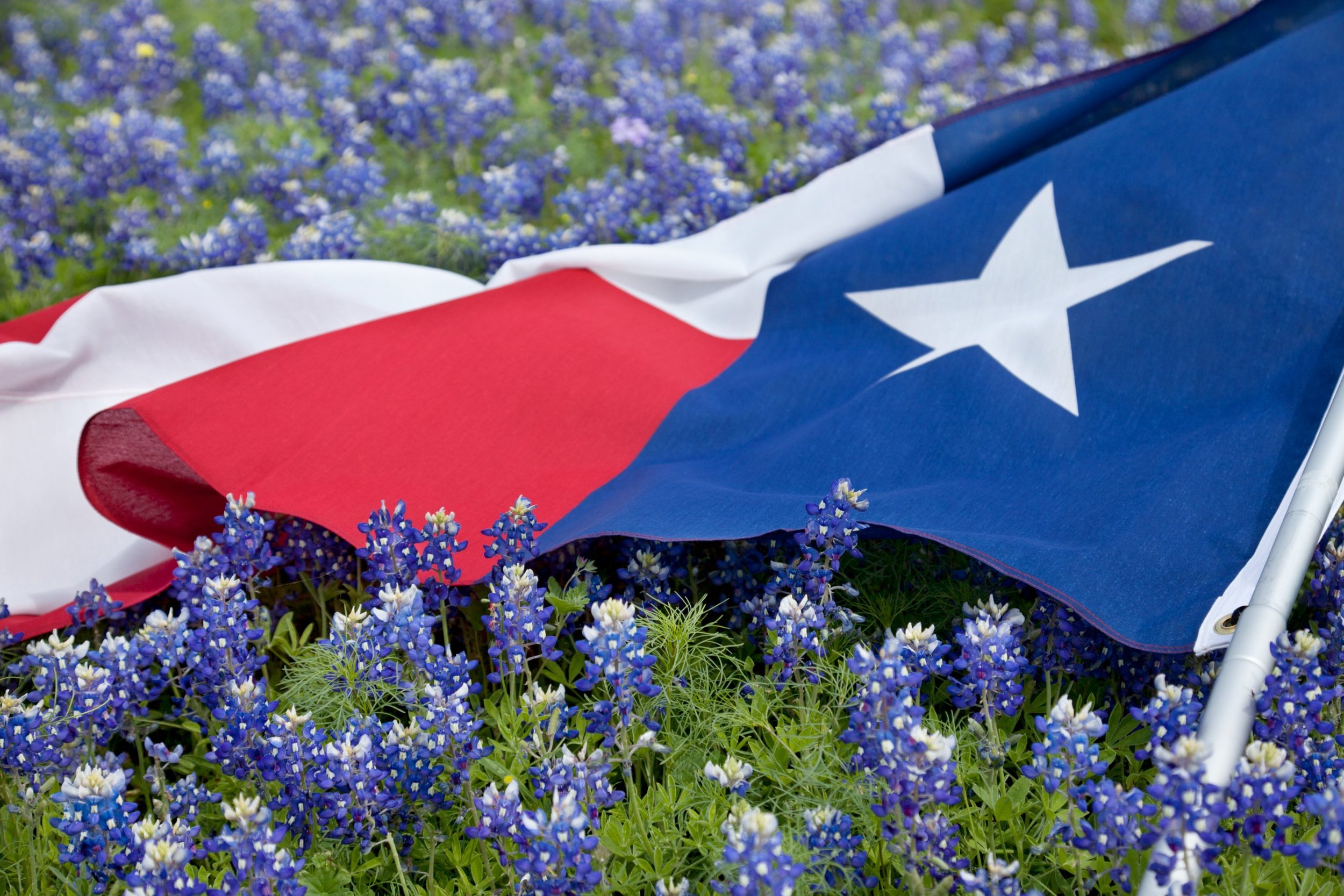 Sample Ballot — Montgomery County Republican Party of Texas GOP