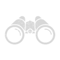 icon of binoculars that shows how Meridian Camera improves visibility and saftey for car dealers