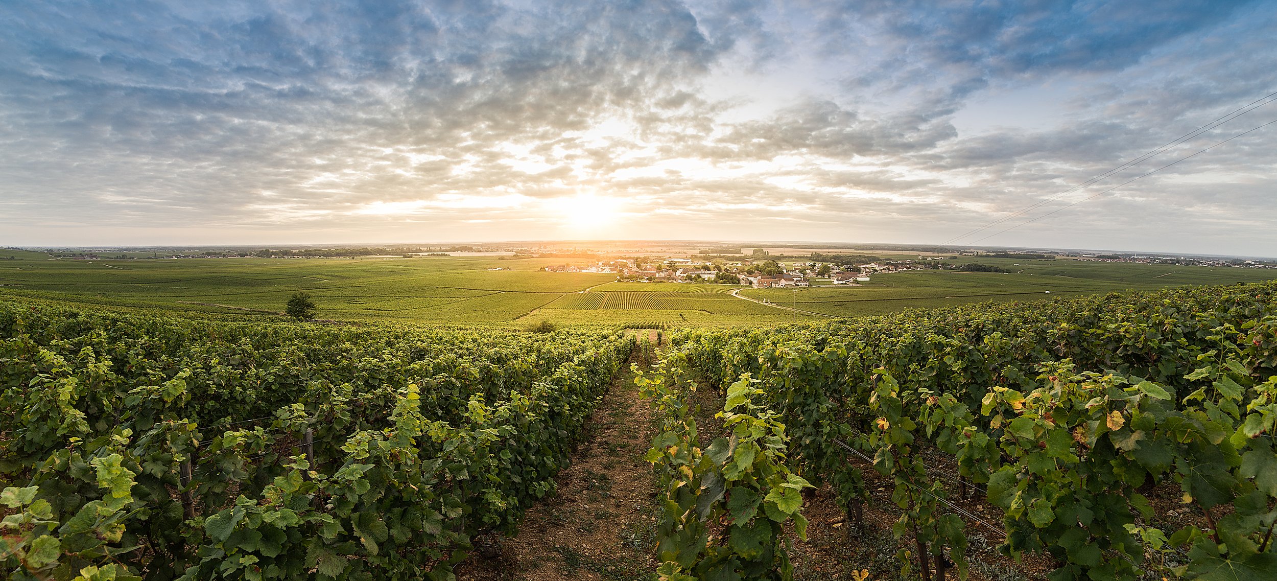 Burgundy’s Côte d’Or Masterclass