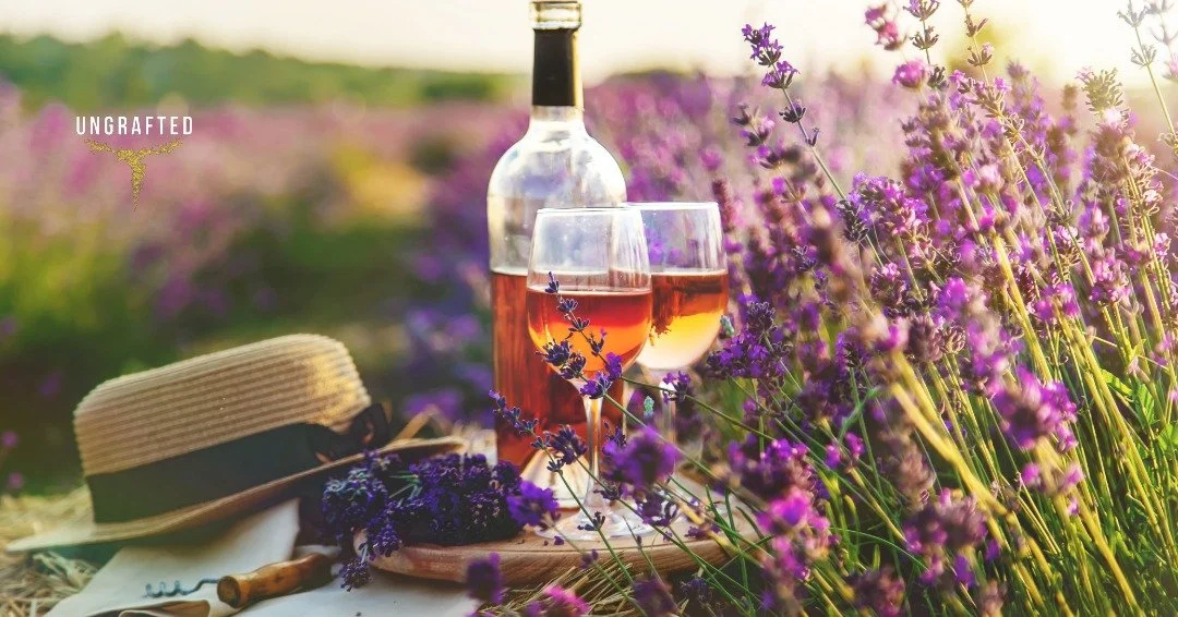 Rhône Valley and Provence