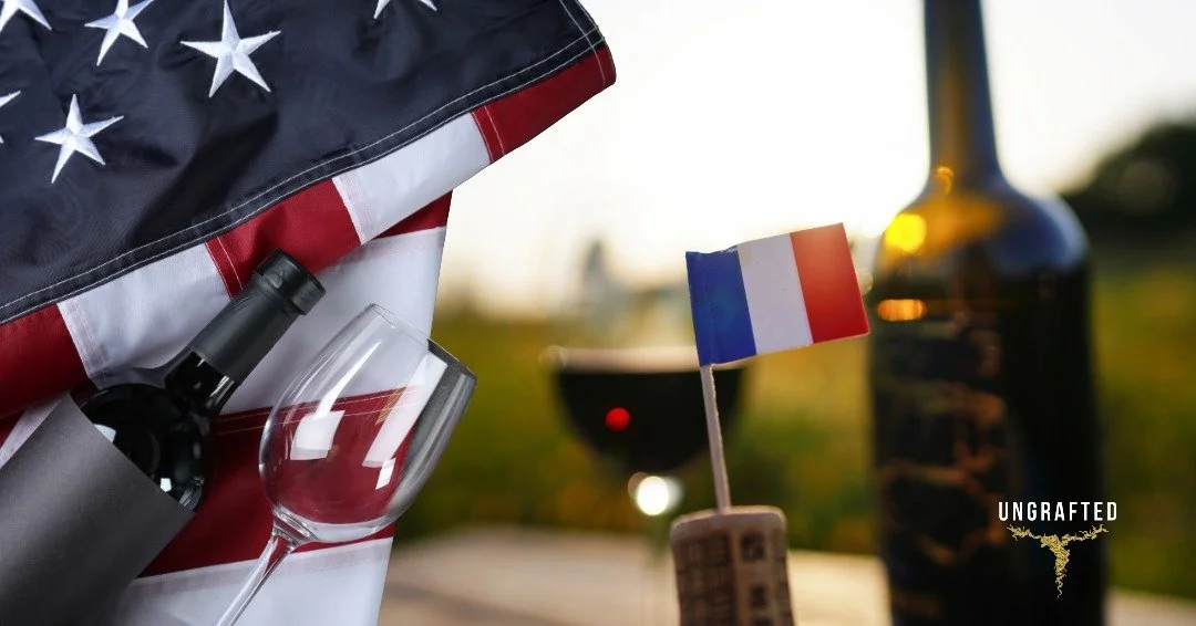 France vs USA