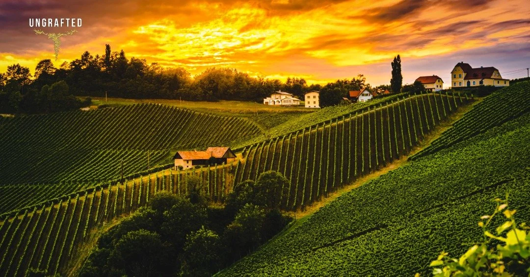 Summer in Tuscany