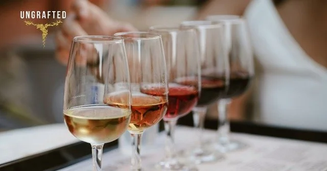 Blind Tasting Workshop: Side by Sides