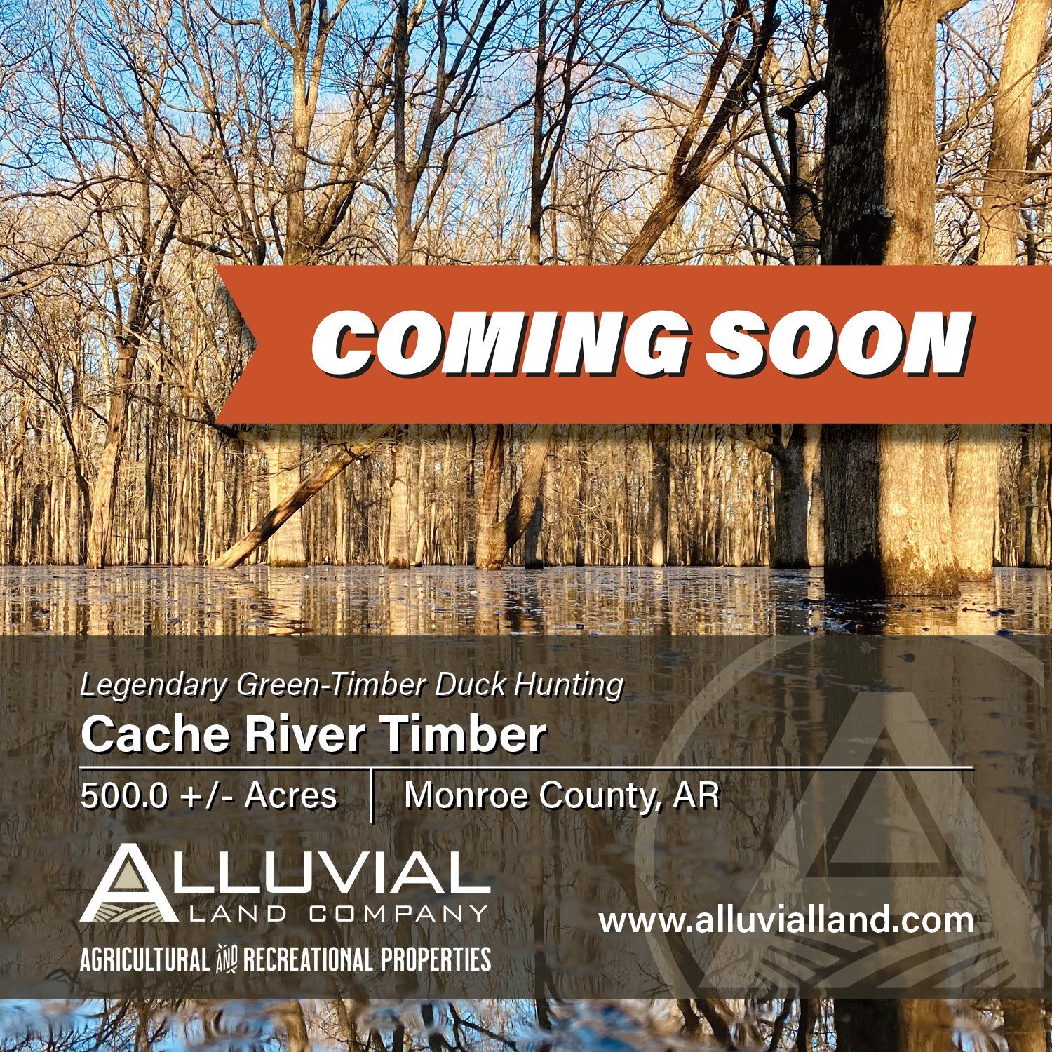 COMING SOON - Cache River Timber
500.0 +/- impounded acres, offering legendary green-timber duck hunting. Located in Monroe County, Arkansas near the confluences of the White River, Cache River, and Bayou DeView. Contact us to learn more.

JOEL WHICK
