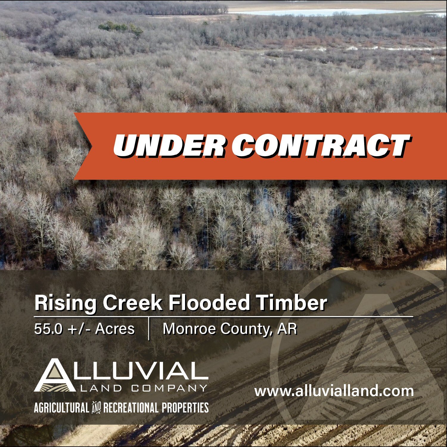 UNDER CONTRACT
Rising Creek Flooded Timber comprises 55.0 +/- acres of green-tree reservoir approximately four miles southeast of Brinkley, Arkansas, in Monroe County. The land offers authentic green-timber duck hunting between Little Piney Creek and