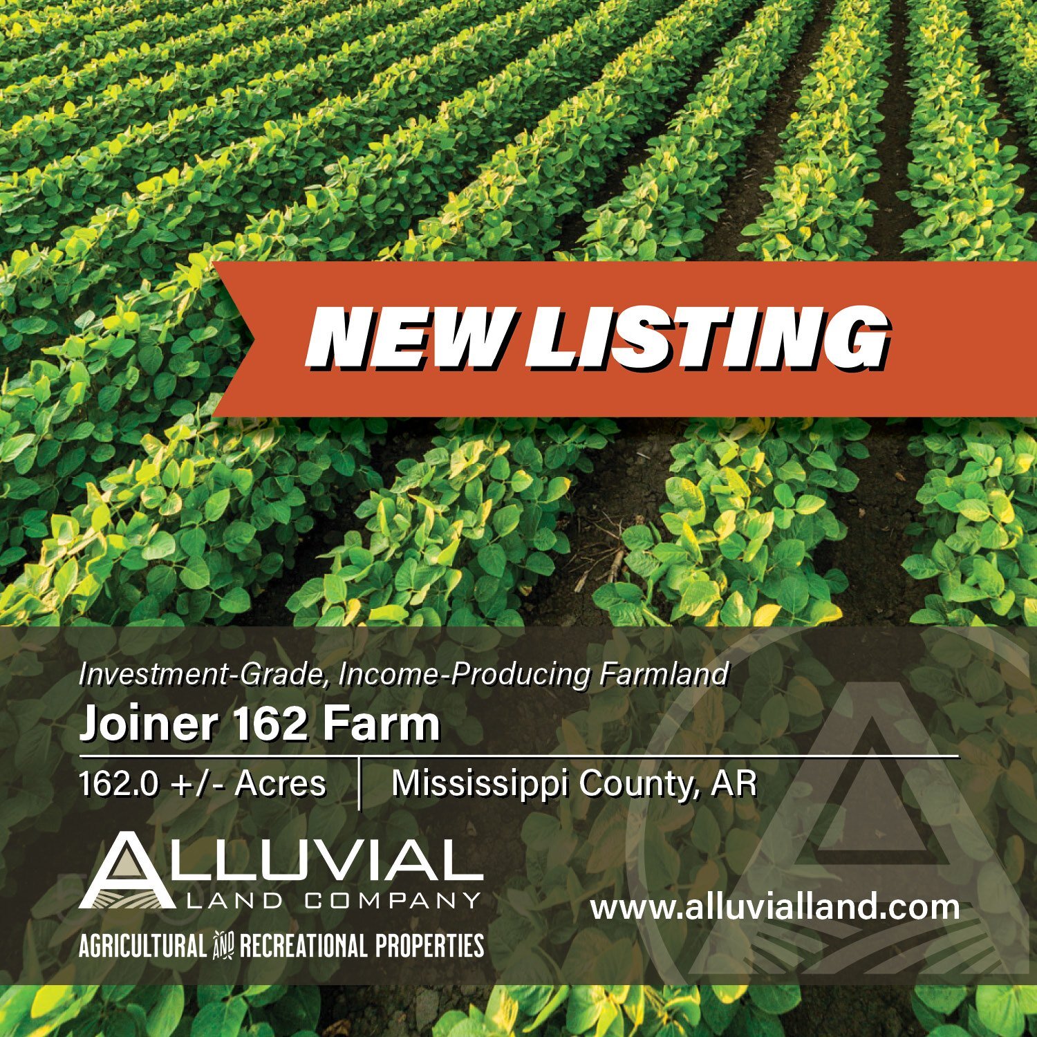 NEW LISTING
The Joiner 162 Farm consists of 162.0 +/- total acres of investment-grade, income-producing farmland in Northeast Arkansas (Mississippi County), just off I-55 and two miles west of the town of Joiner. 150.55 +/- acres are leveled, tillabl