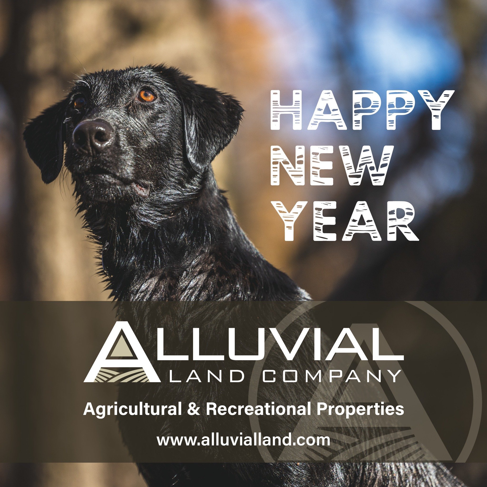 Happy New Year! Wishing you and your family a productive and successful 2025.