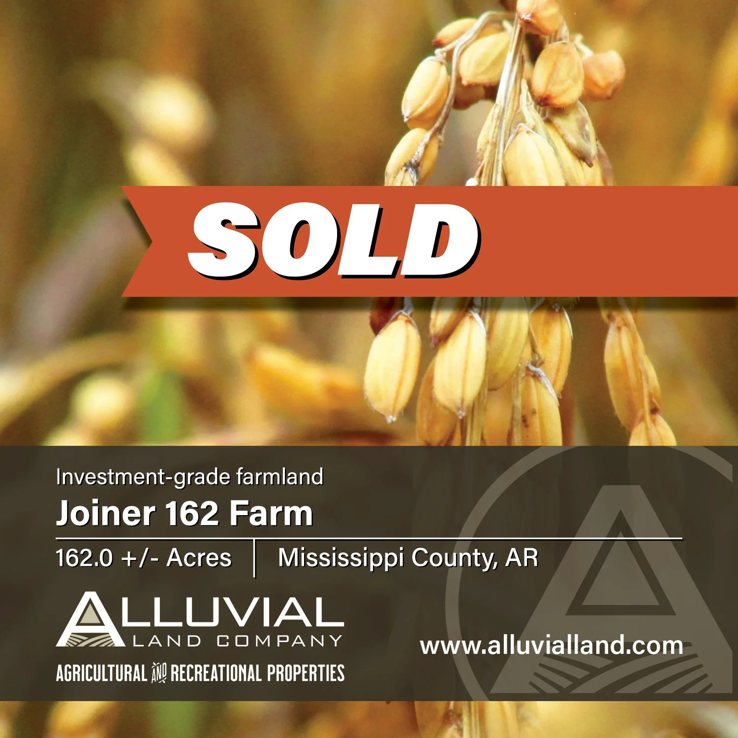SOLD - The Joiner Farm is comprised of 162.0 +/- acres in Mississippi County, Arkansas offering investment-grade farmland.

THOMAS ROSE - Land Agent
501-786-2115 | thomas@alluvialland.com

Alluvial Land Company, LLC
www.alluvialland.com
.
.
.
.
.
#fa