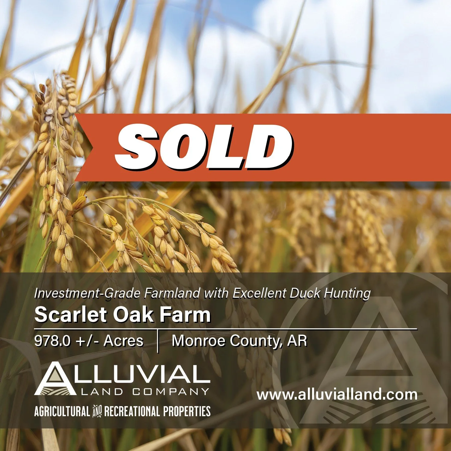 SOLD - The Scarlet Oak Farm is a highly-improved rice and soybean farm consisting of 978.0 +/- acres located in Monroe County, Arkansas. In addition to the agricultural investment, the property is positioned in an excellent waterfowl flyway and offer