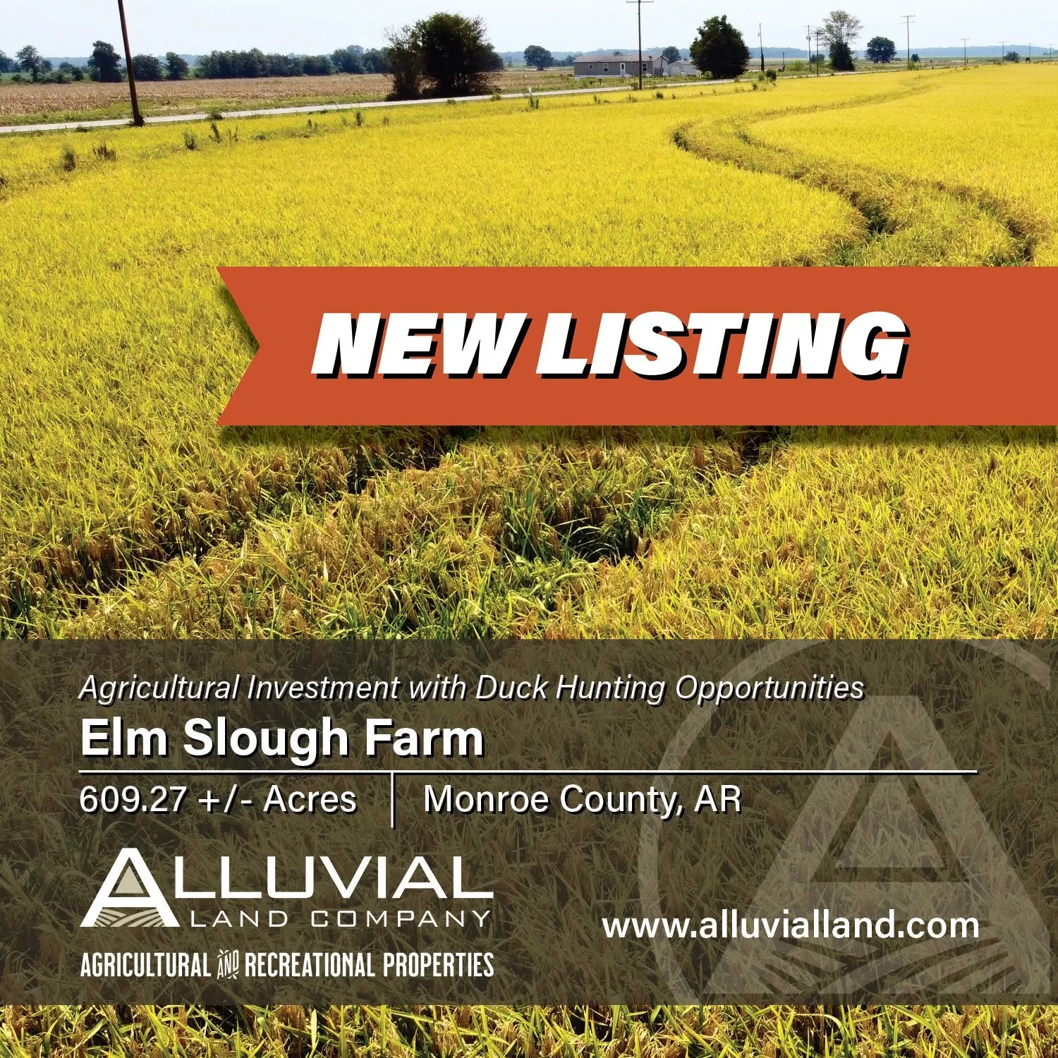 NEW LISTING - Elm Slough Farm is a 609.27-acre agricultural and recreational property located in Monroe County, Arkansas, just south of Roe. The farm comprises two separate tracts, located within 1.5 miles of each other, with a combined 516.56 acres 