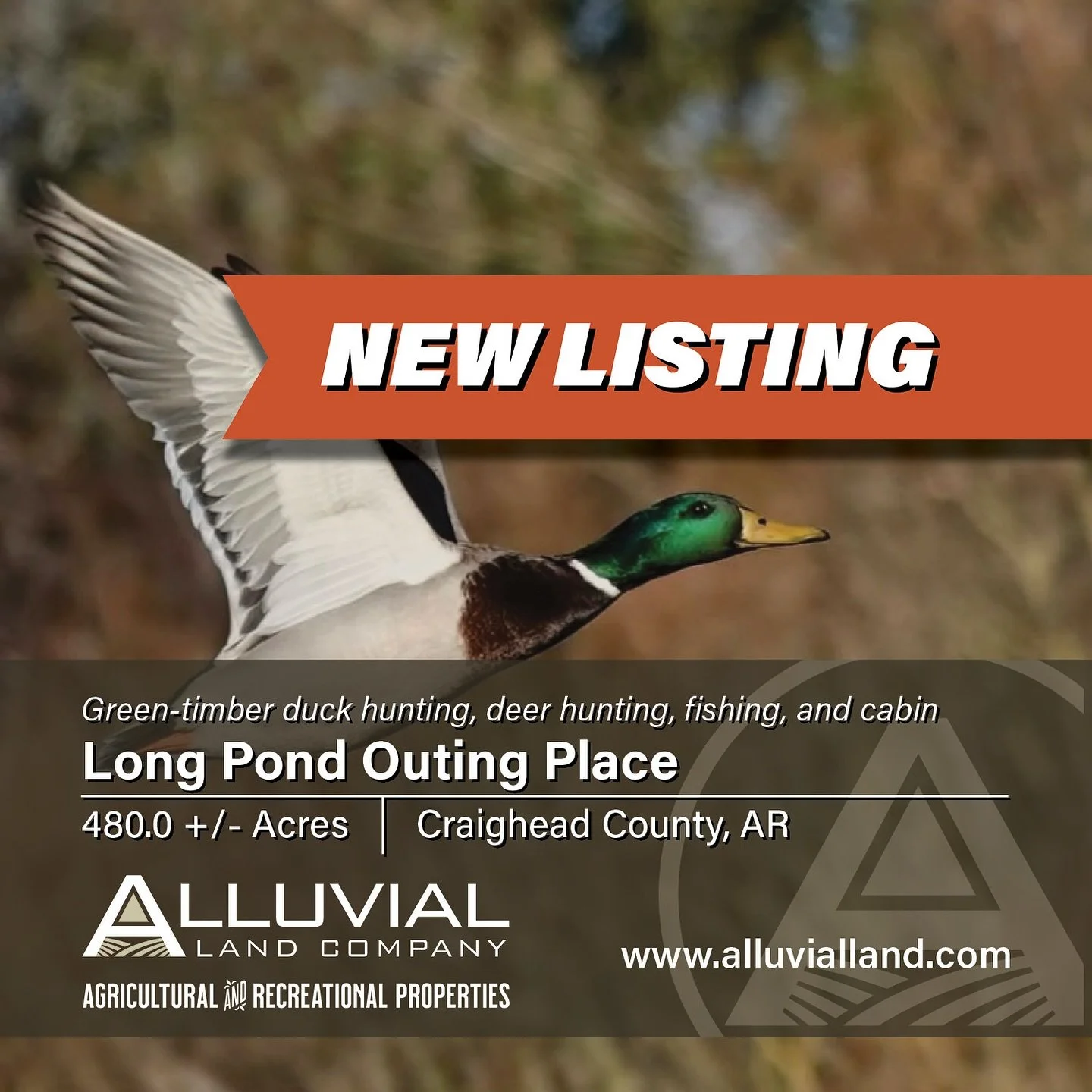 NEW LISTING - Long Pond Outing Place is a turnkey, four season sporting property comprised of 480.0 +/- acres located just outside the St. Francis River levee in Craighead County, Arkansas. Duck hunters will appreciate the flooded green-timber, and m