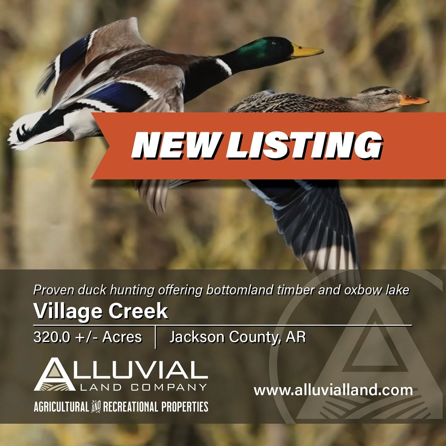 NEW LISTING - Village Creek offers 320.0 +/- acres in Jackson County, Arkansas providing a rare combination of proven waterfowl habitat in an outstanding flyway with enhancement potential, and easy access directly off Arkansas Highway 226. The proper