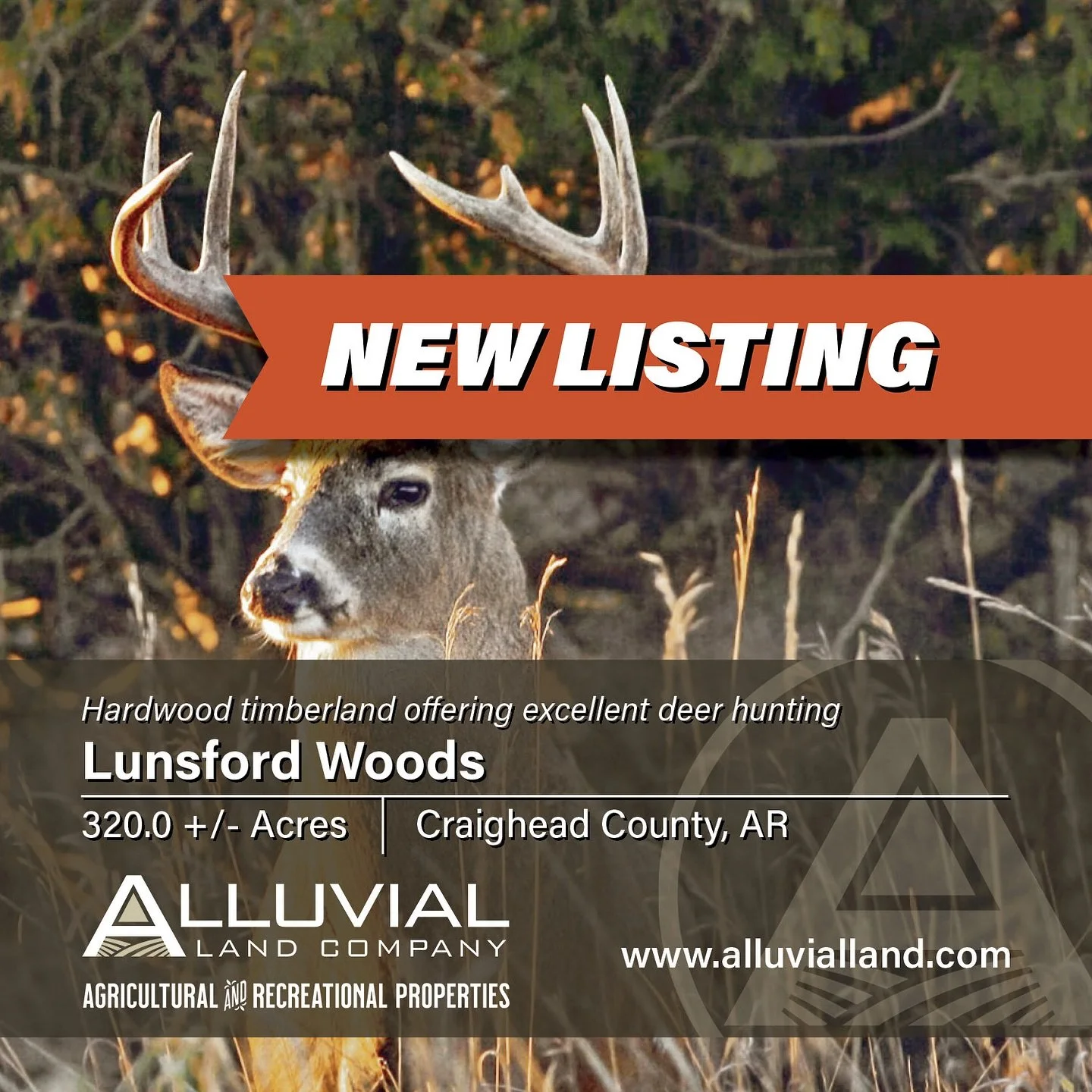 NEW LISTING - The Lunsford Woods consists of 320.0 +/- total acres in southeast Craighead County, Arkansas, offering excellent whitetail deer hunting. The land provides 275.0 +/- acres of hardwood timber and 30.0 +/- acres of tillable land, which is 