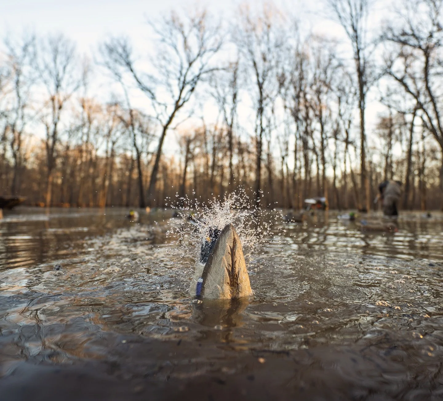 Only 2 days left&hellip;
&bull;
Looking for a spot to call your own? Visit our website to view available farmland and historic duck hunting properties. 
&bull;
#AlluvialLand #Farmland #RecreationalLand #Hunting #Agriculture