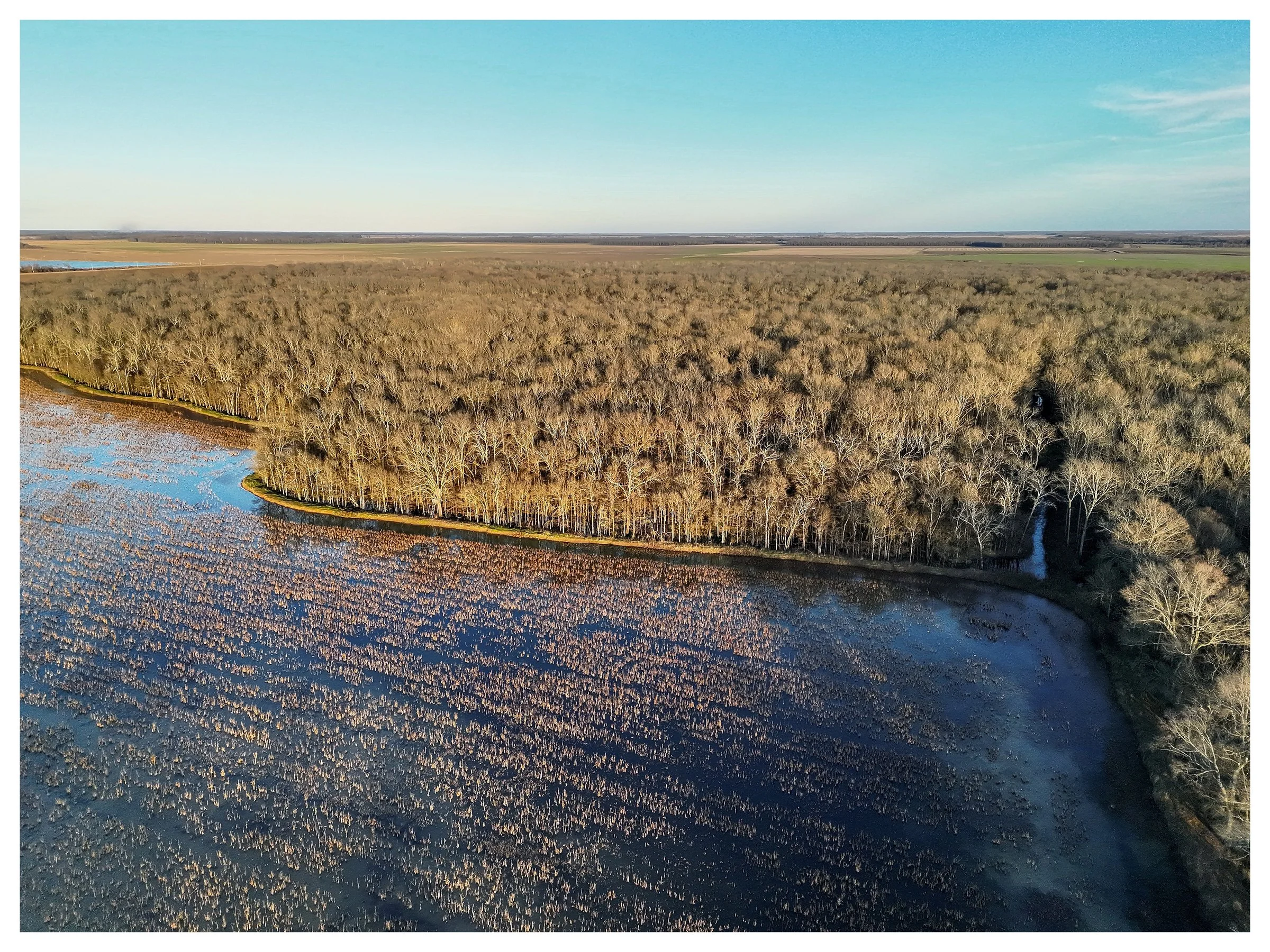 Website Listing Photos2.jpg