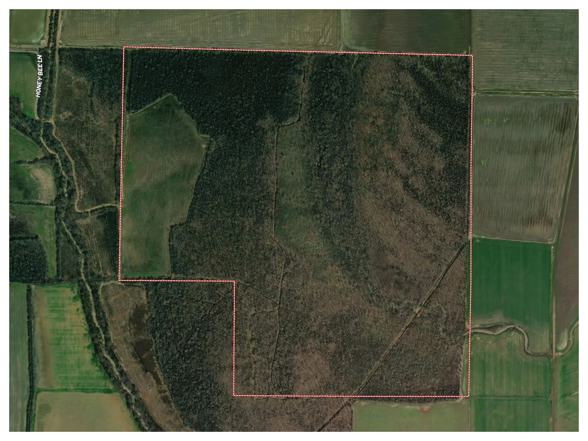 Website Listing Photos4.jpg