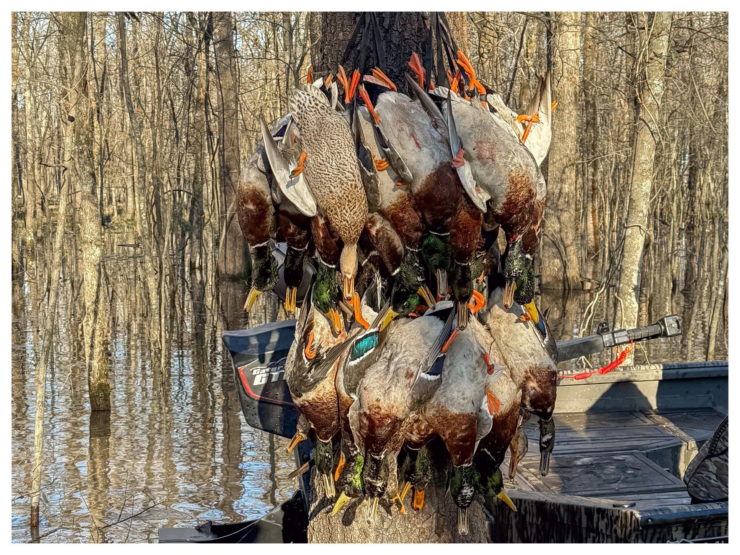 Website Listing Photos6.jpg