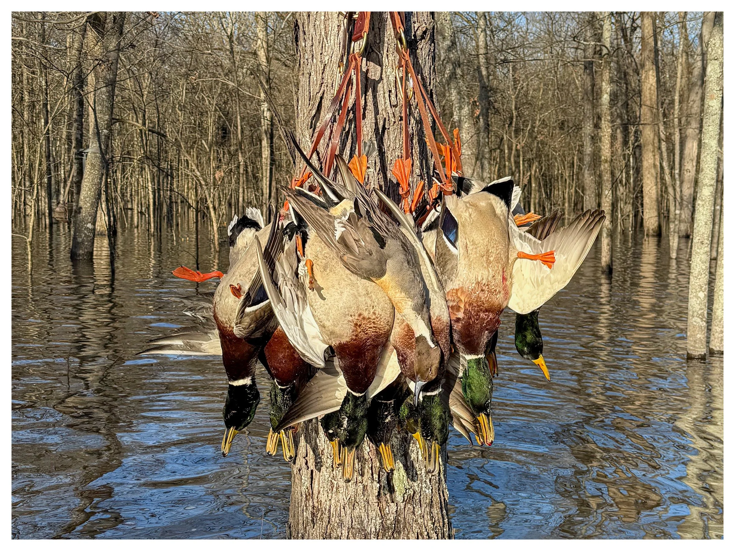 Website Listing Photos7.jpg