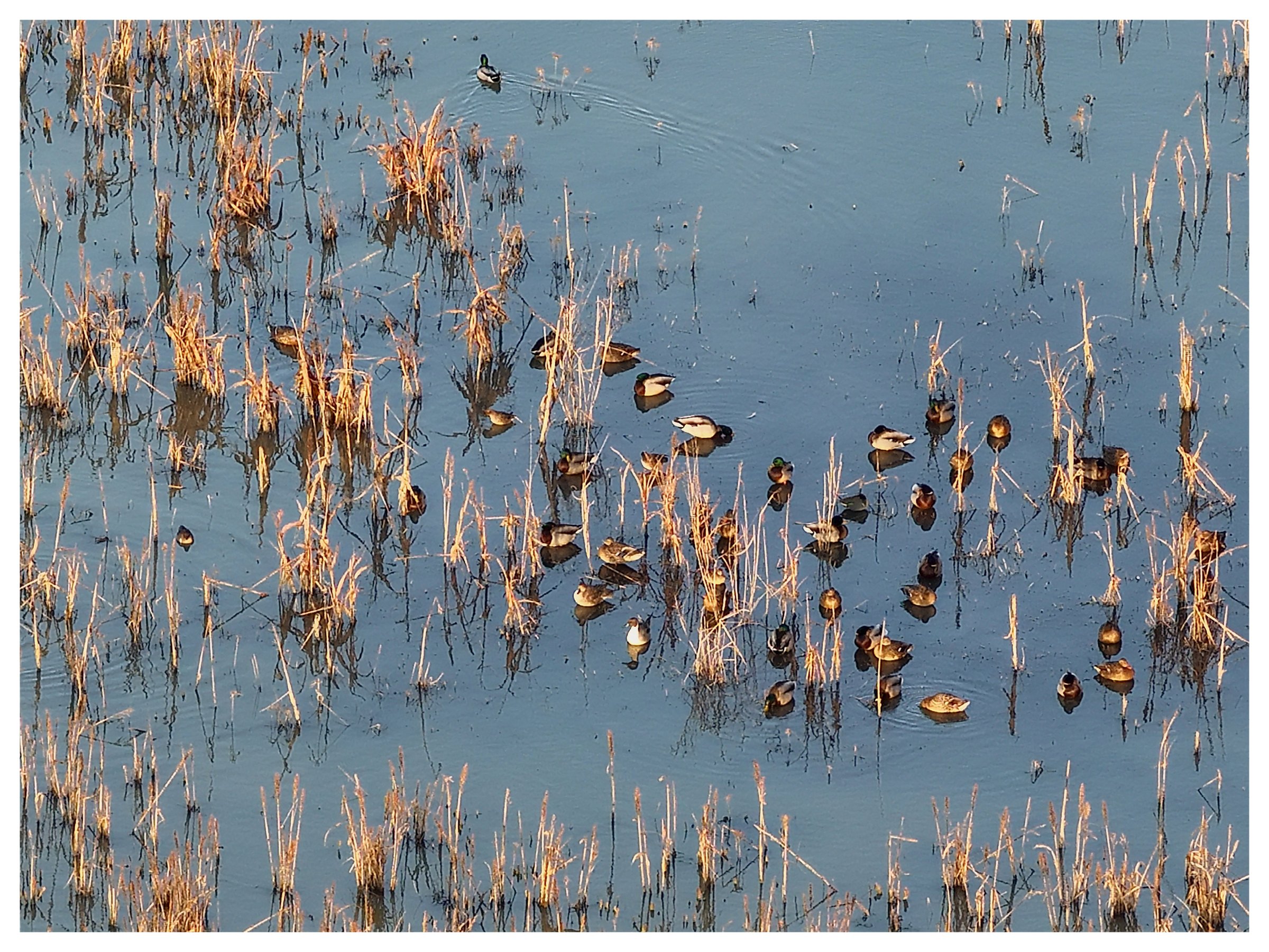 Website Listing Photos8.jpg