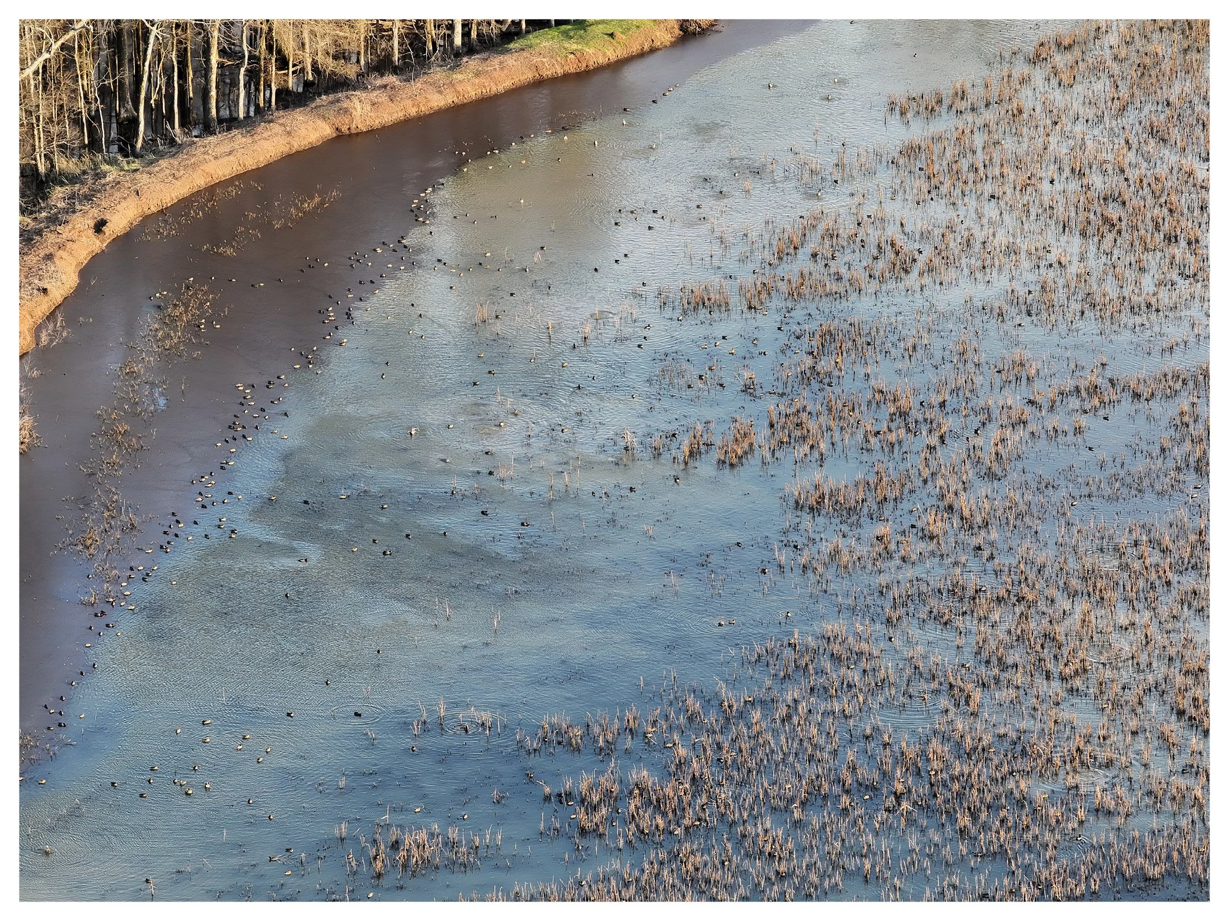 Website Listing Photos9.jpg