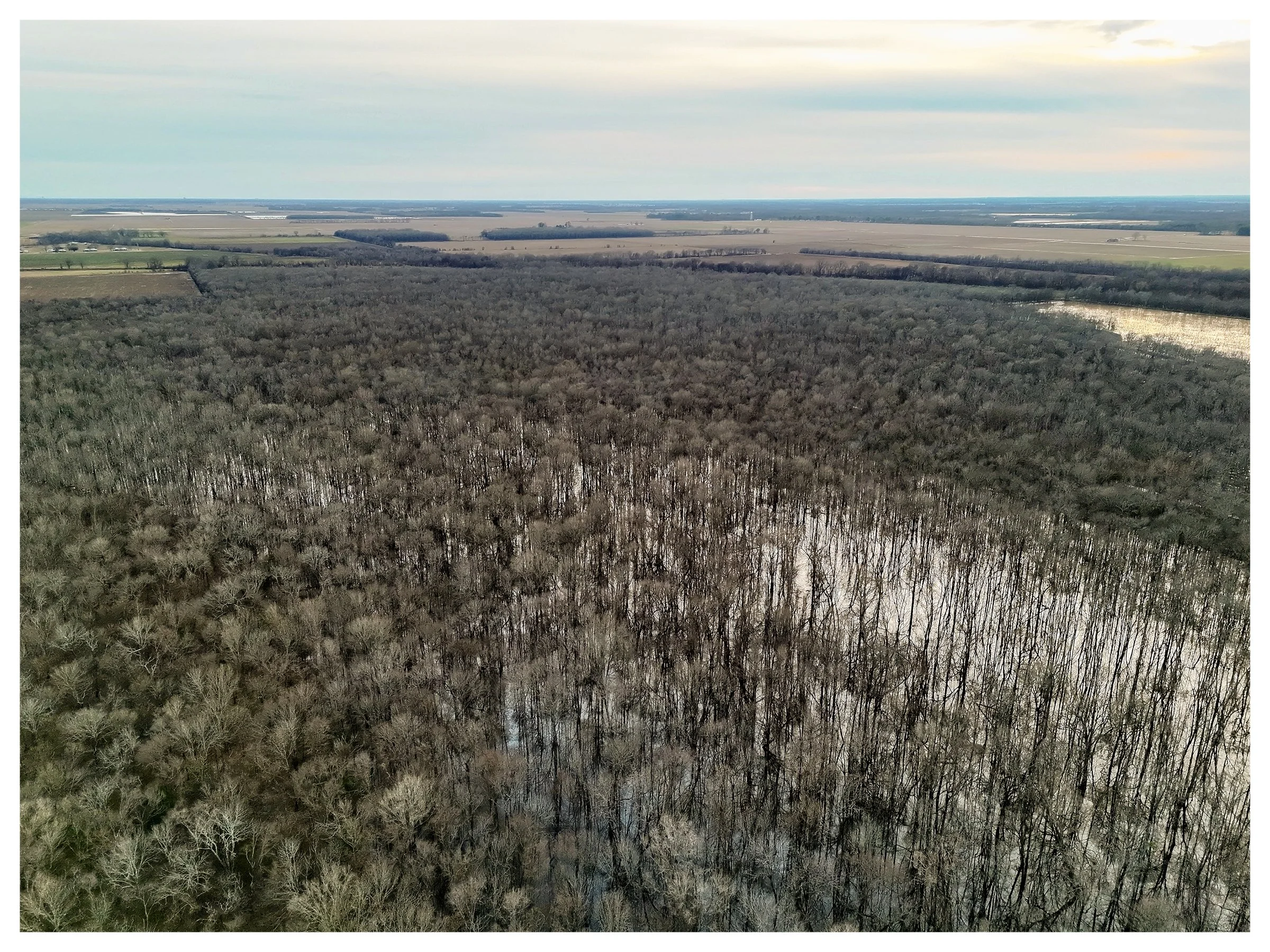 Website Listing Photos11.jpg