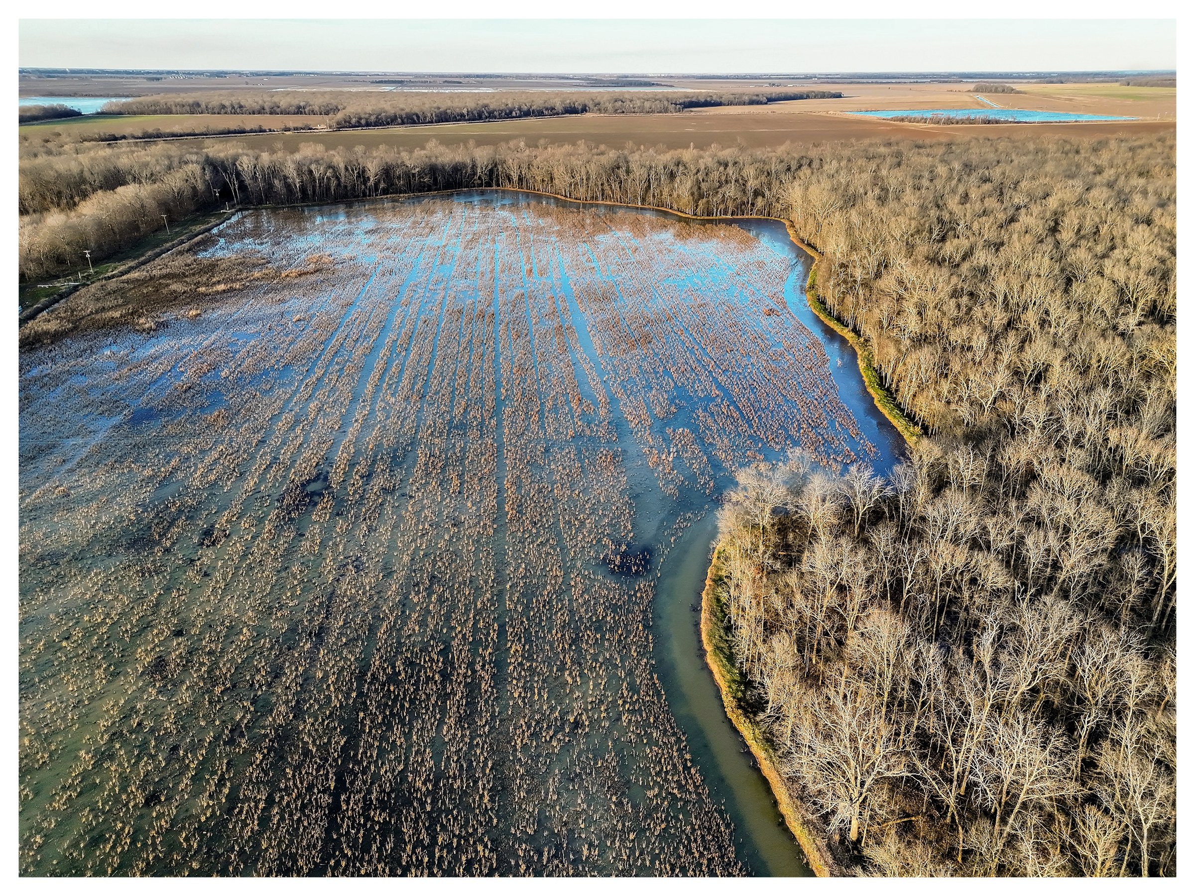 Website Listing Photos12.jpg