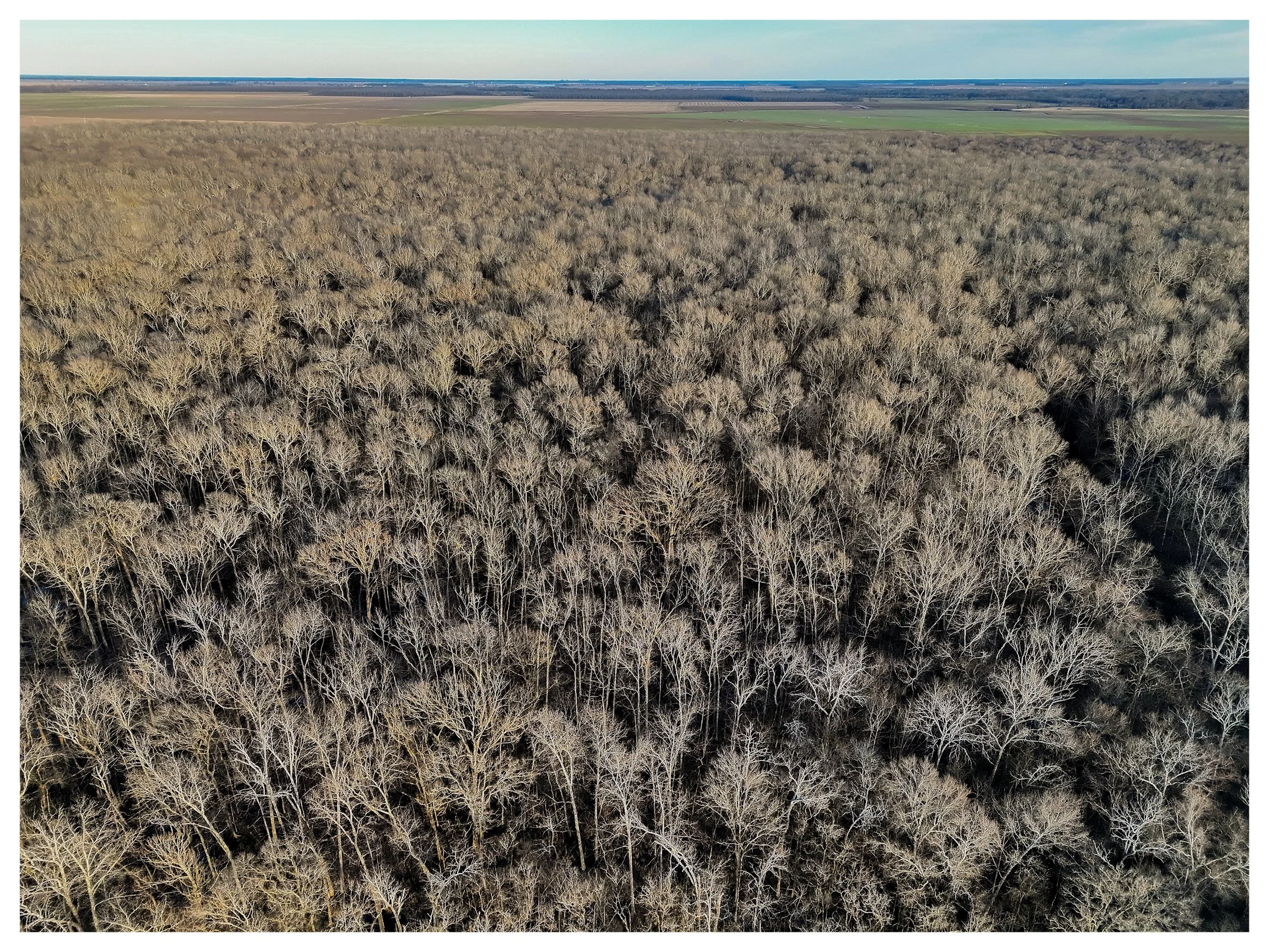 Website Listing Photos14.jpg