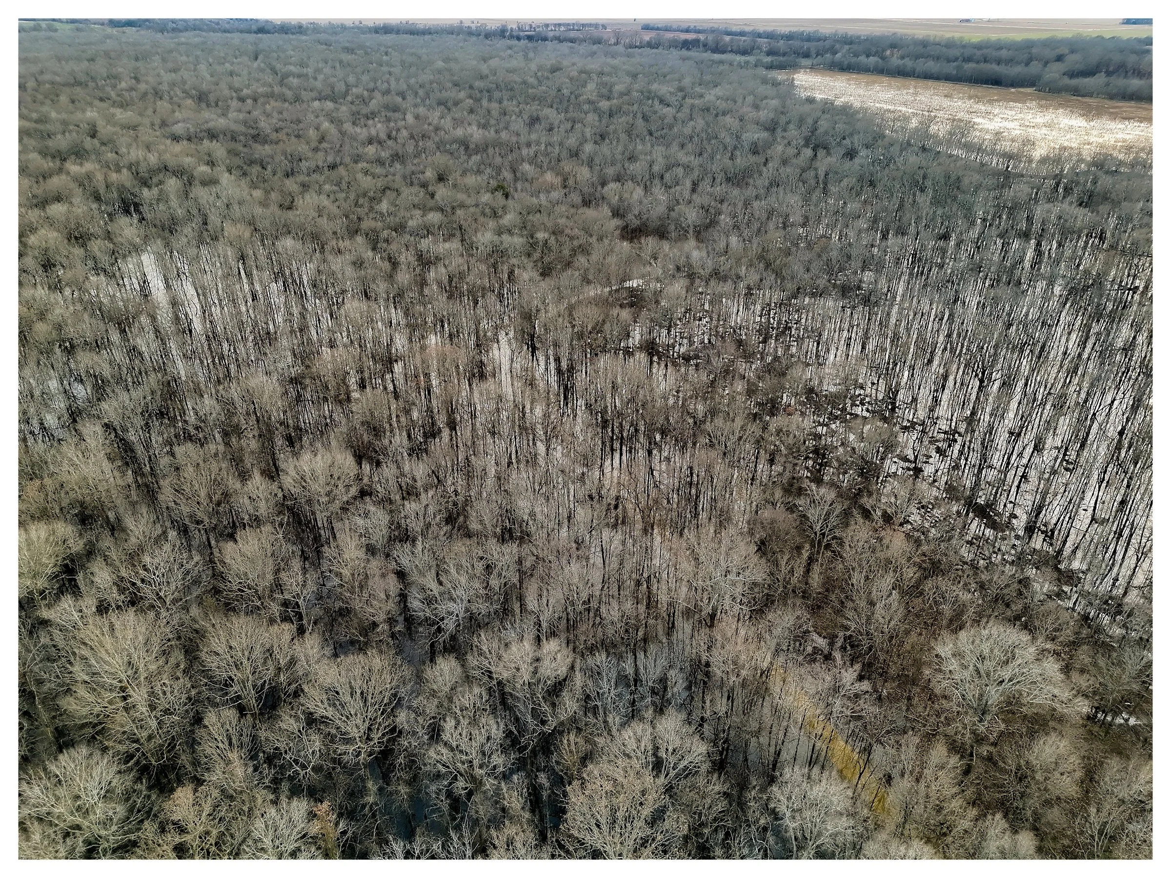 Website Listing Photos15.jpg