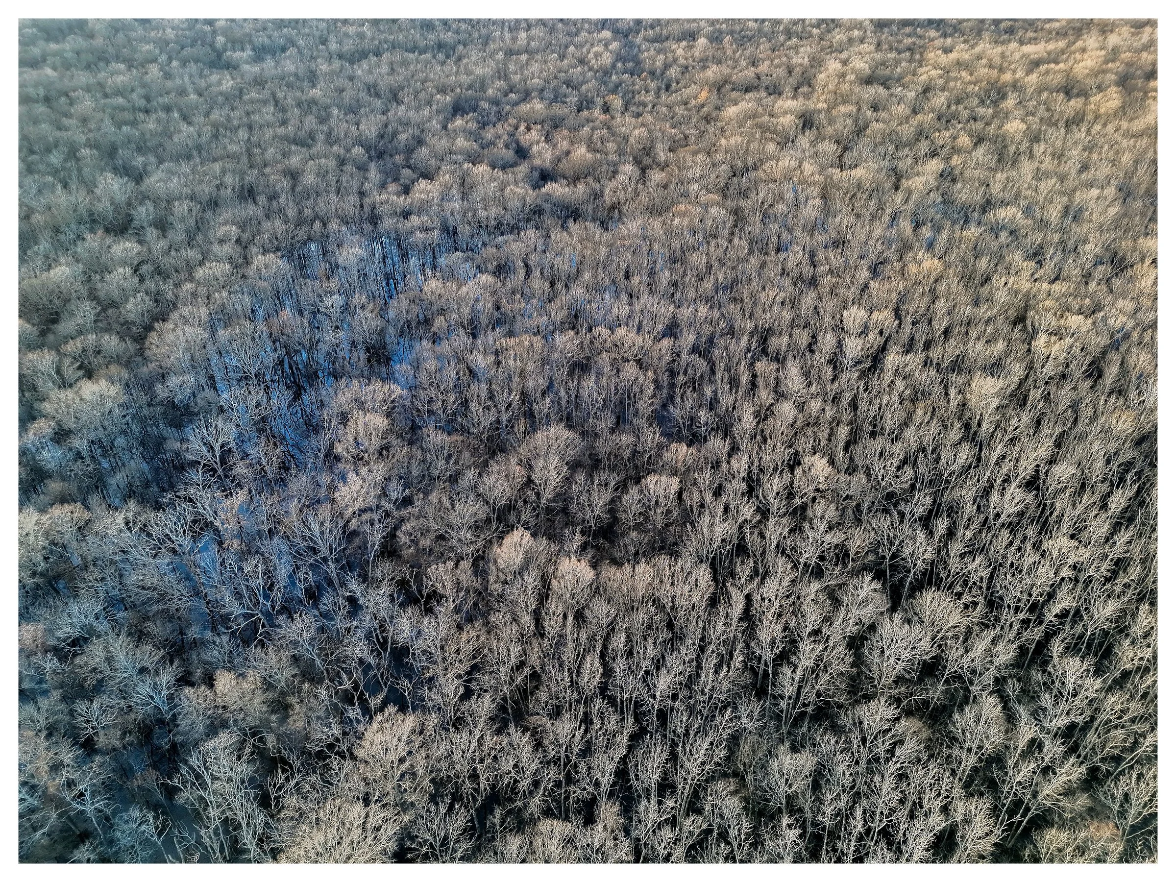 Website Listing Photos16.jpg