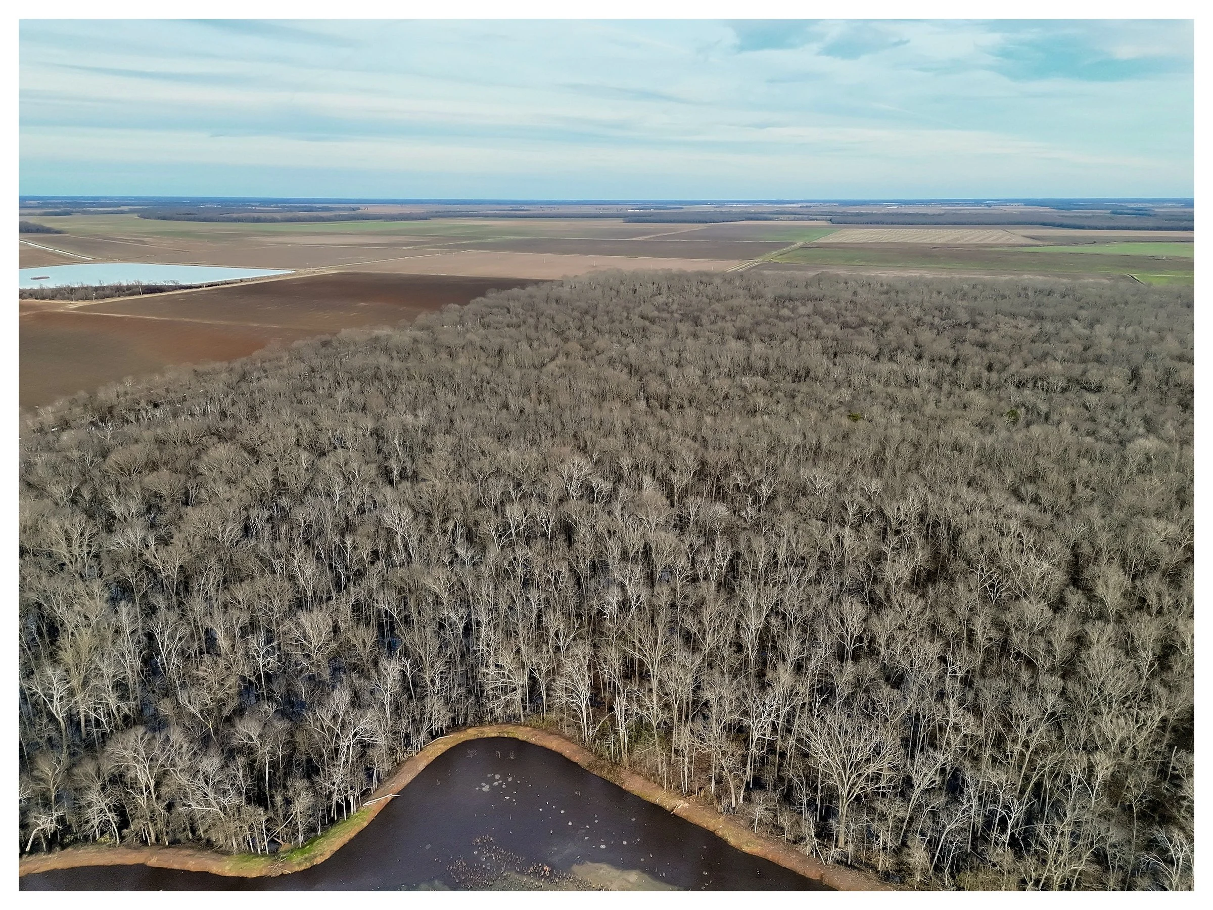 Website Listing Photos19.jpg