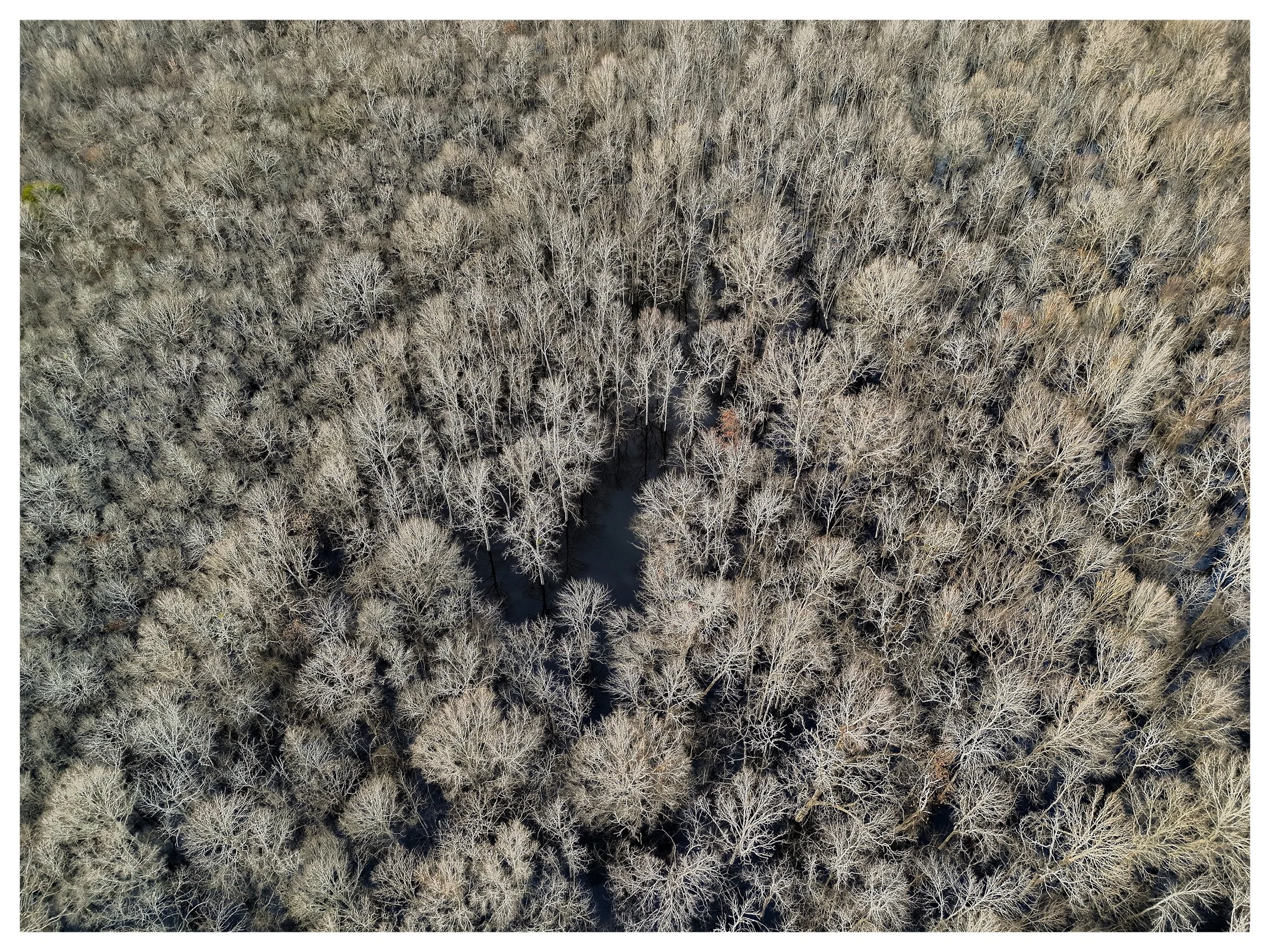 Website Listing Photos21.jpg