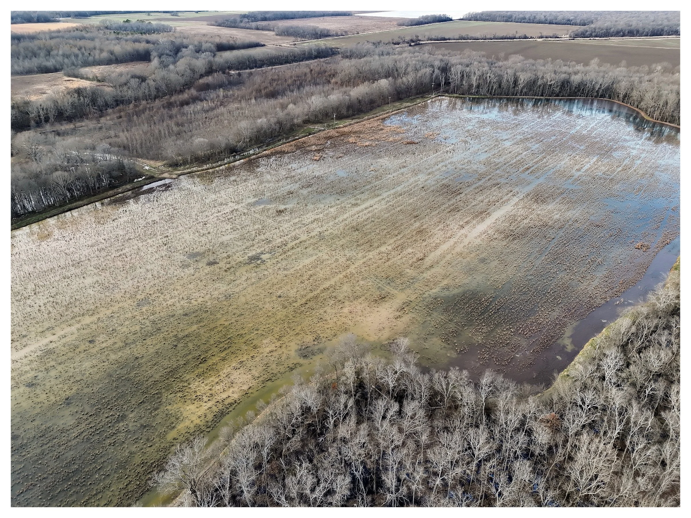 Website Listing Photos22.jpg