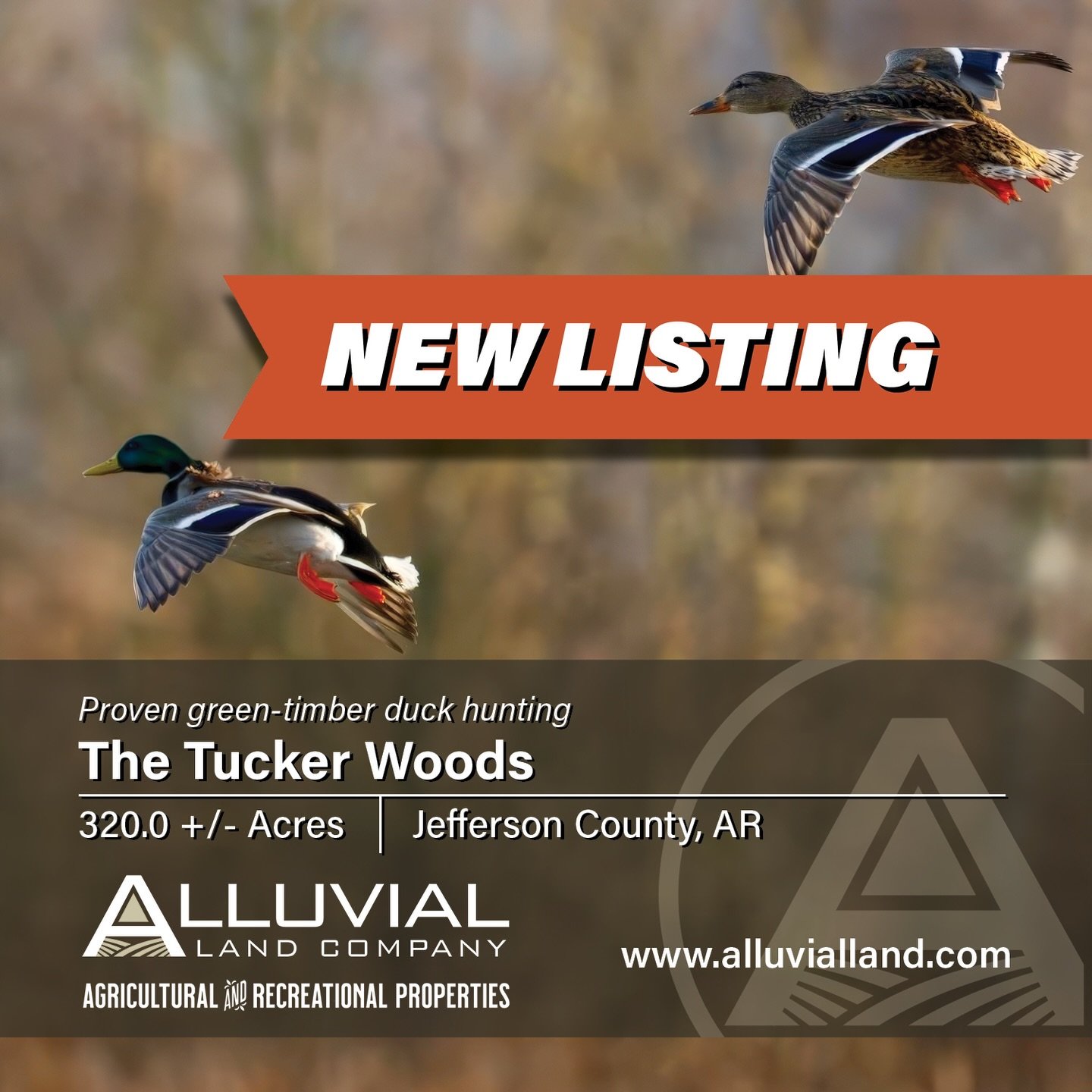 The Tucker Woods consist of 320 total acres of which 265 acres are in impounded green timber. There are 30 acres of food plots for ducks historically planted in millet and milo. The remainder of the property is unimpounded bottomland hardwood timber.