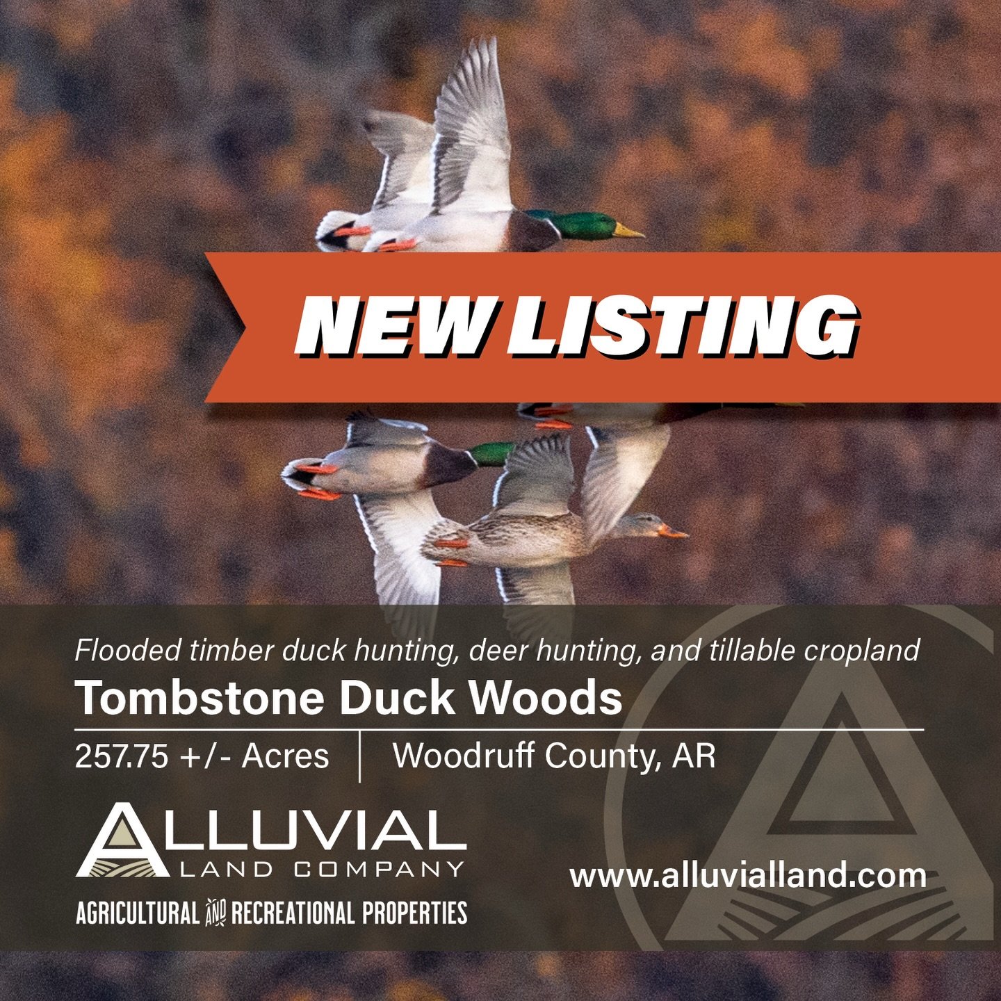 NEW LISTING- Tombstone Duck Woods is a diverse recreational and agricultural property consisting of 257.75+/- acres located in Woodruff County, just south of the town McCrory. The land consists of 100+/- acres of Green Tree Reservoir and 87+/- acres 
