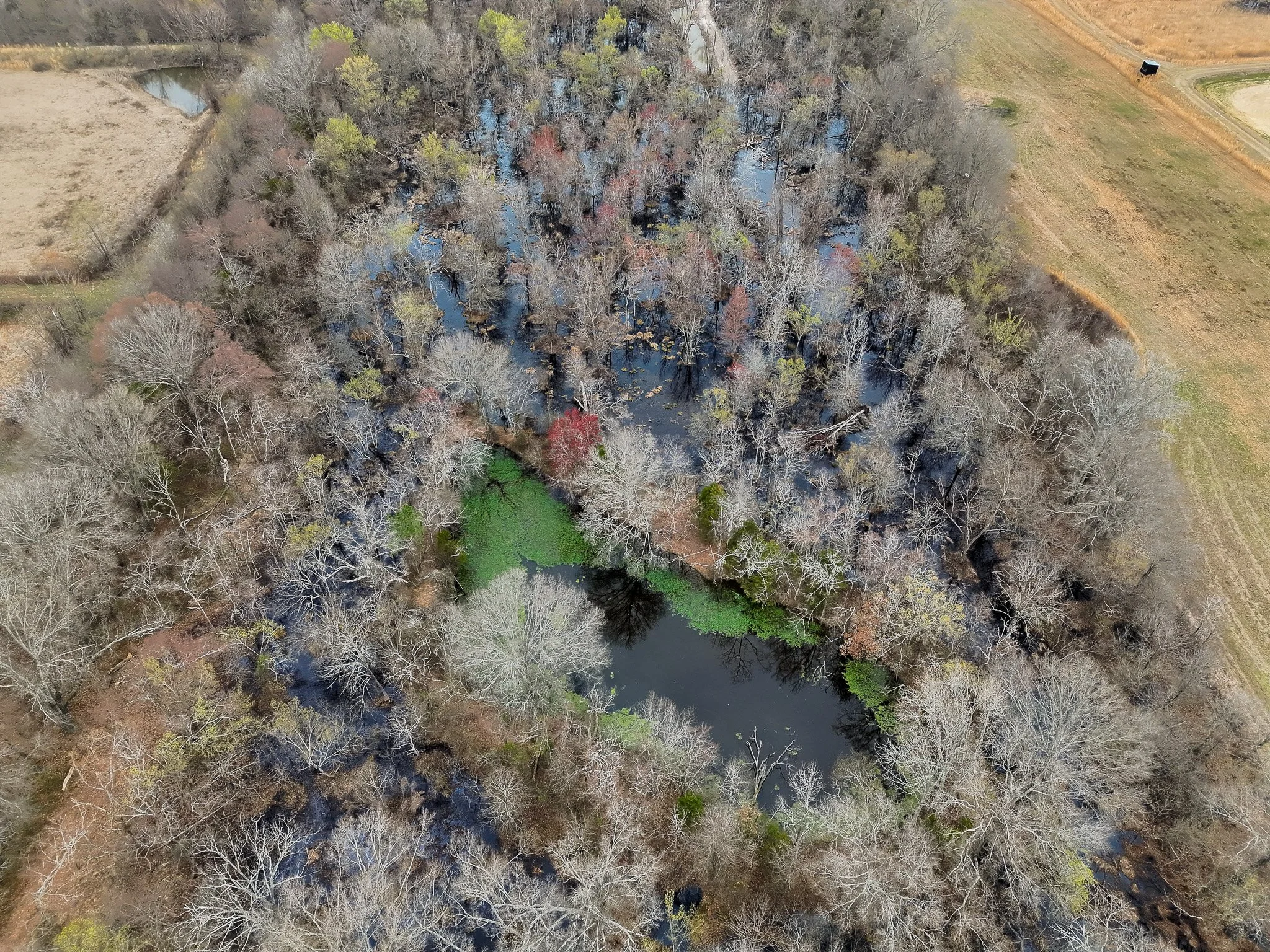 DJI_20260303103440_0017_V.jpg