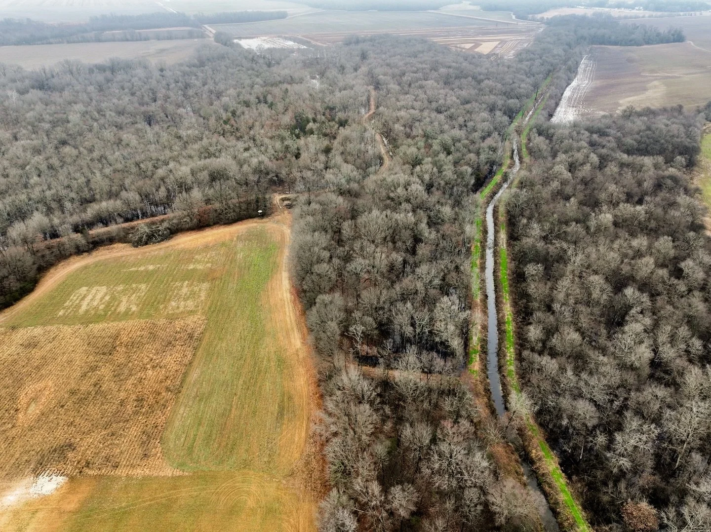 For Sale! Tombstone Duck Woods consists of 257.75+/- acres located in Woodruff County. Green Tree Reservoir, tillable crop land, hardwoods, food plots, wells, and levees make this property ready to hunt. 

For more Info: alluvialland.com

Thomas Rose