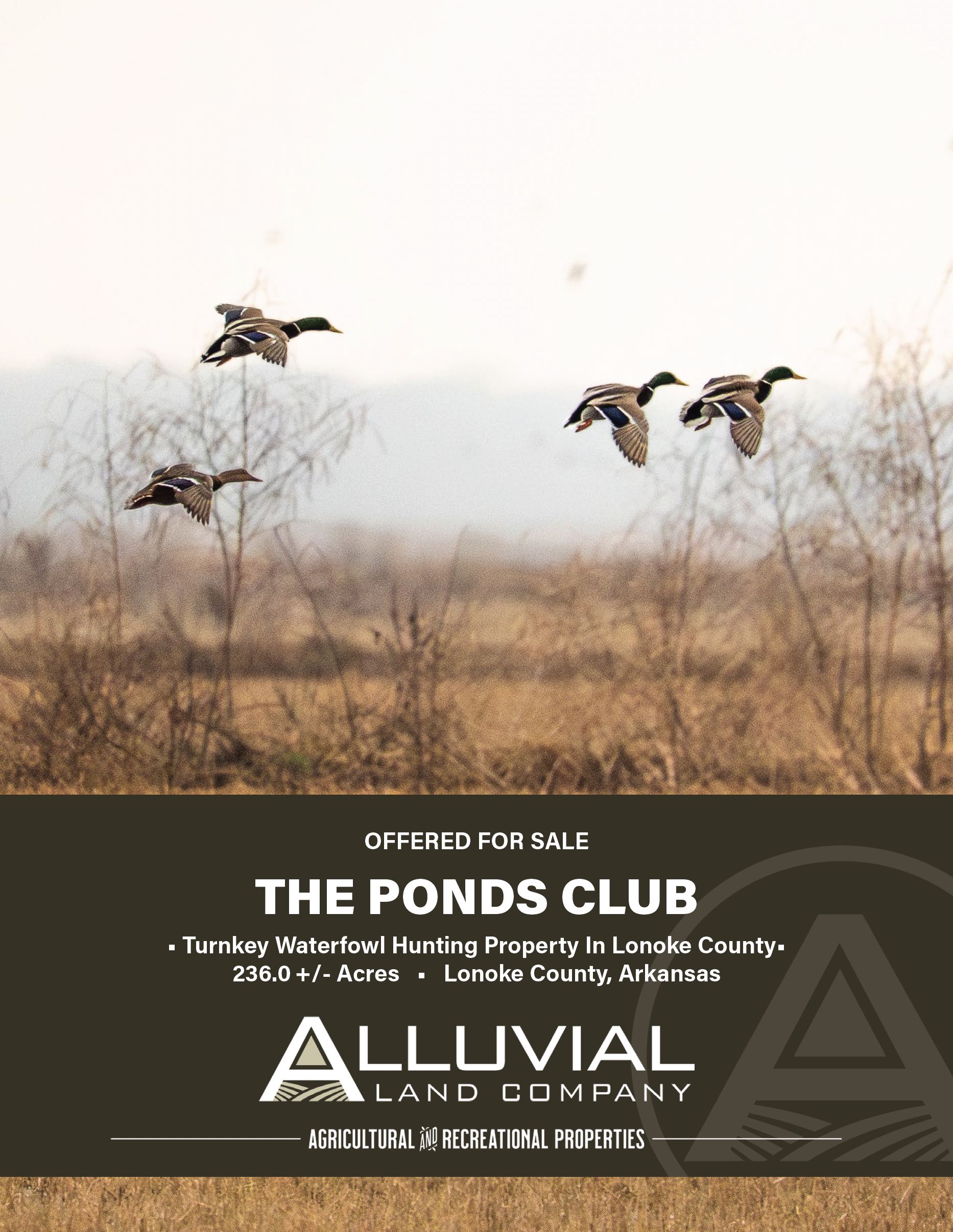 Screenshot 2026-03-30 at 4.48.27 PM.png