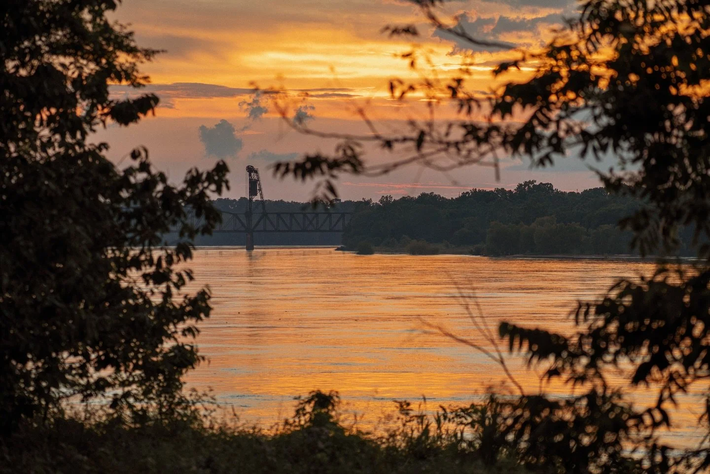 Hard to beat sunsets like these!

Recreational and income producing farmland available at alluvialland.com 
&bull;
#alluviallandcompany #recreationalland #landforsale #arkansassunset #farmland