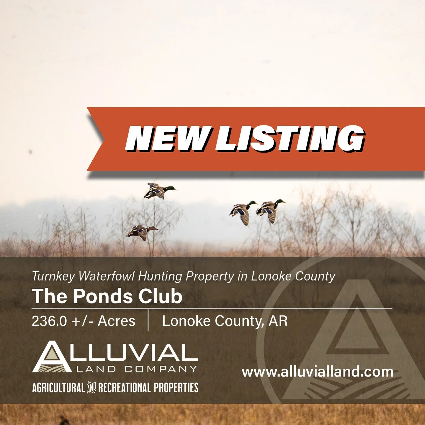 The Ponds Club - This 236&plusmn; acre recreational farm in Lonoke County has been developed and managed for waterfowl hunting with established infrastructure and a documented harvest history. Land management is made easy with 3 electric wells, stand