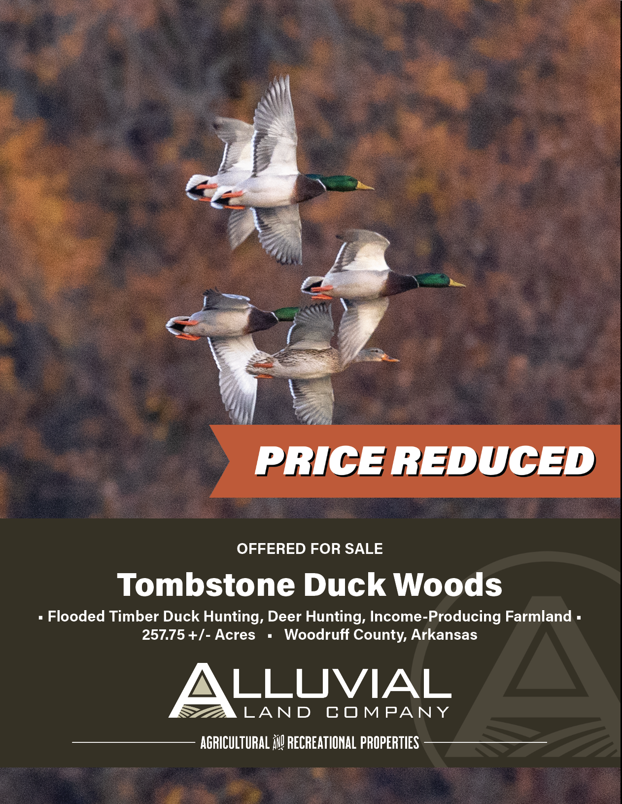 Screenshot 2026-04-06 at 10.15.16 PM.png