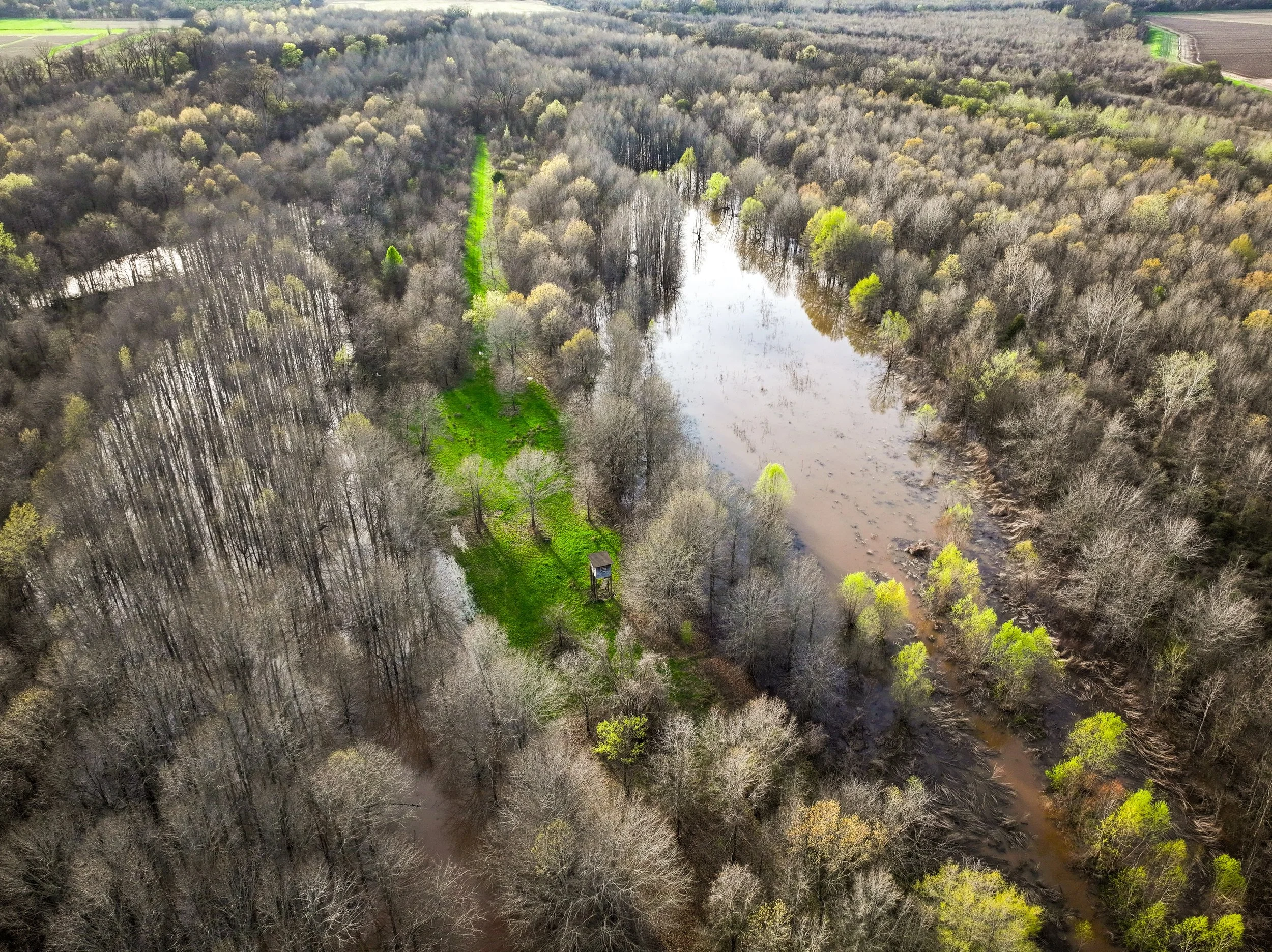 Food, water, and cover. The foundation of a healthy habitat. 

Find the right ground for you at Alluvialland.com
&bull;
#habitat #landforsale #huntingproperty #alluviallandcompany #recreationallandforsale