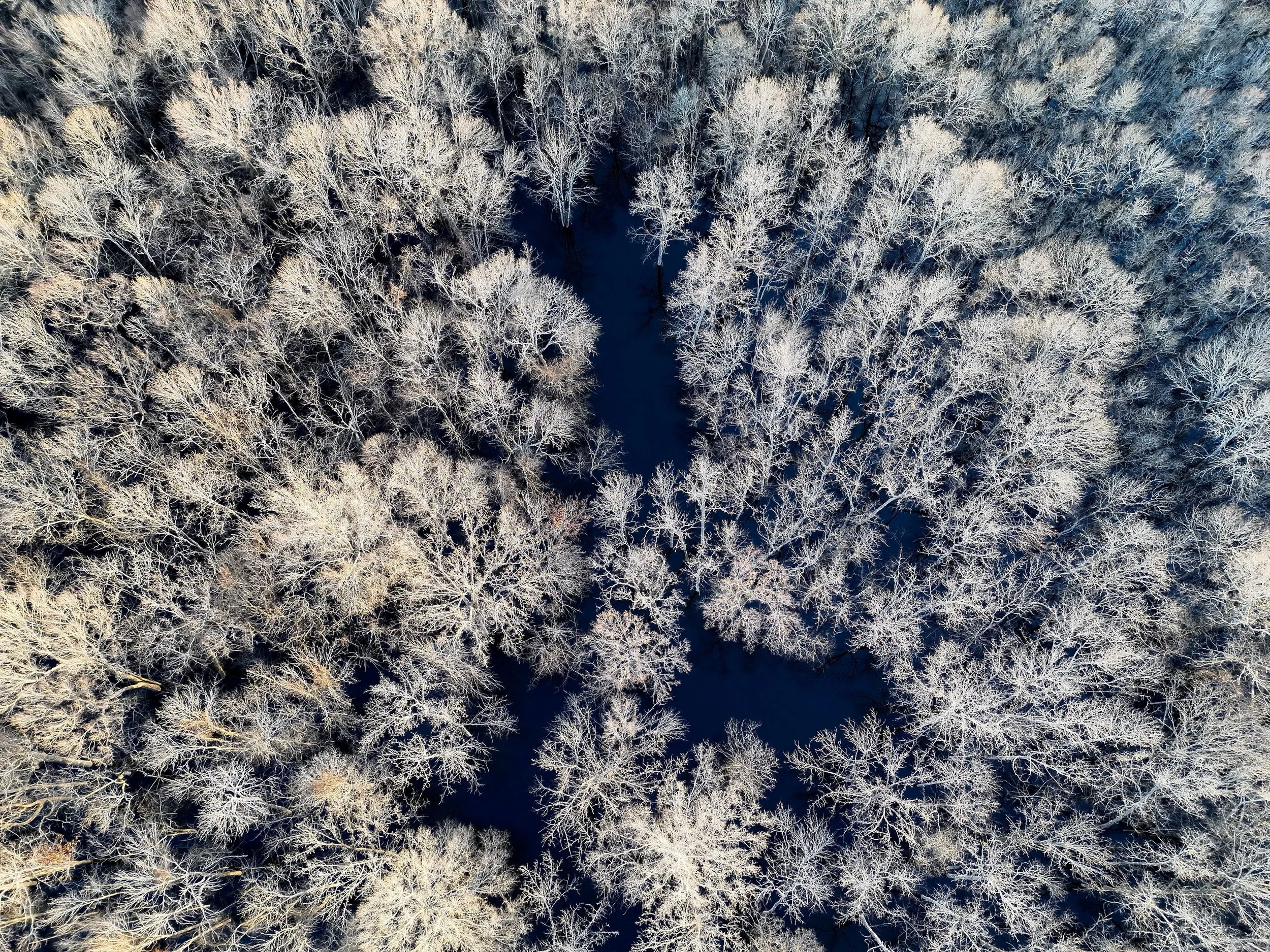 PRICE IMPROVEMENT: THE TUCKER WOODS
The Tucker Woods is a 320-acre tract featuring 265 acres of impounded green timber and 30 acres of established duck food plots, with the remaining acreage in unimpounded bottomland timber. Located 45 minutes from d