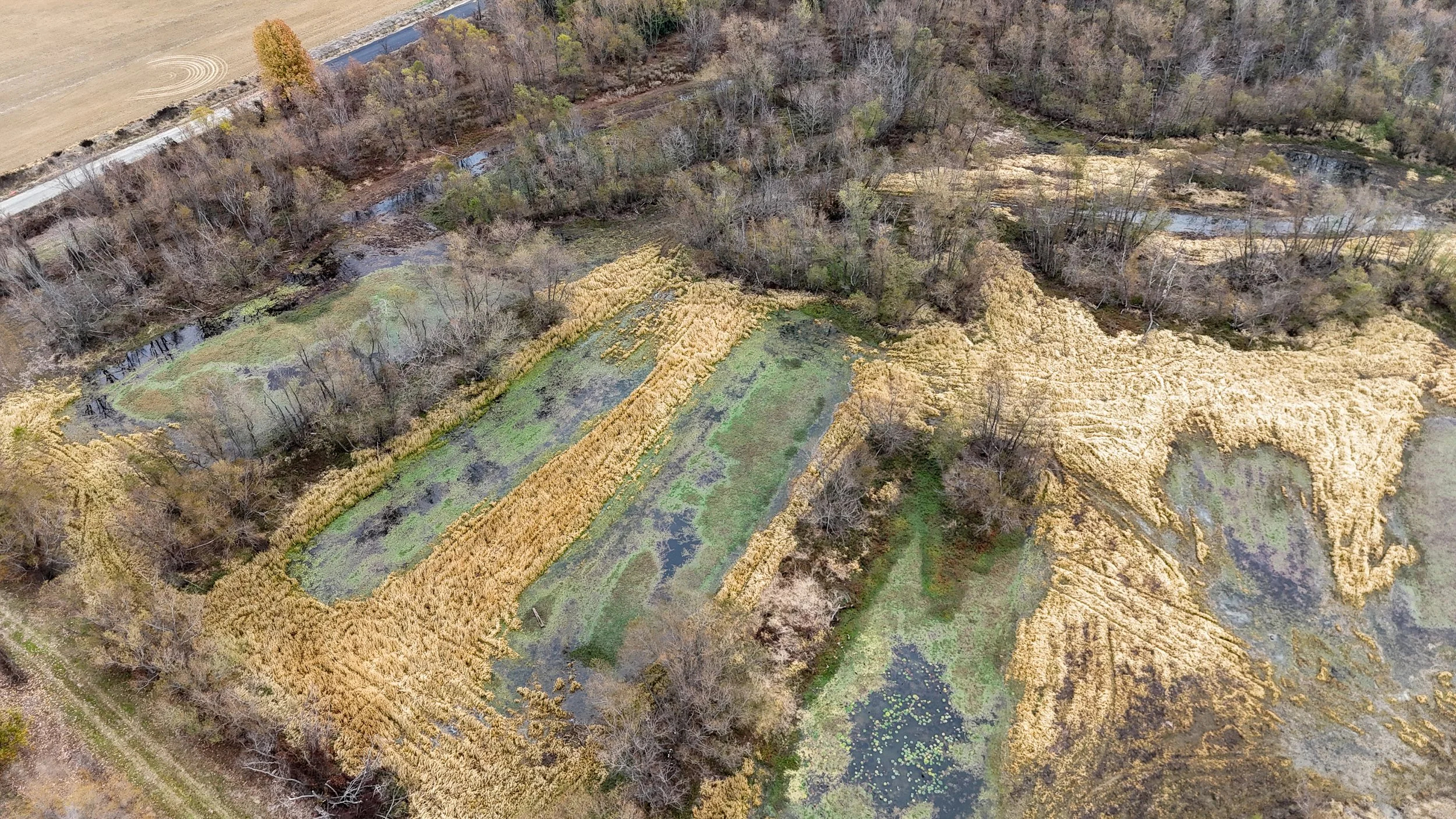 dji_fly_20251115_094414_0050_1763221789355_photo.jpg