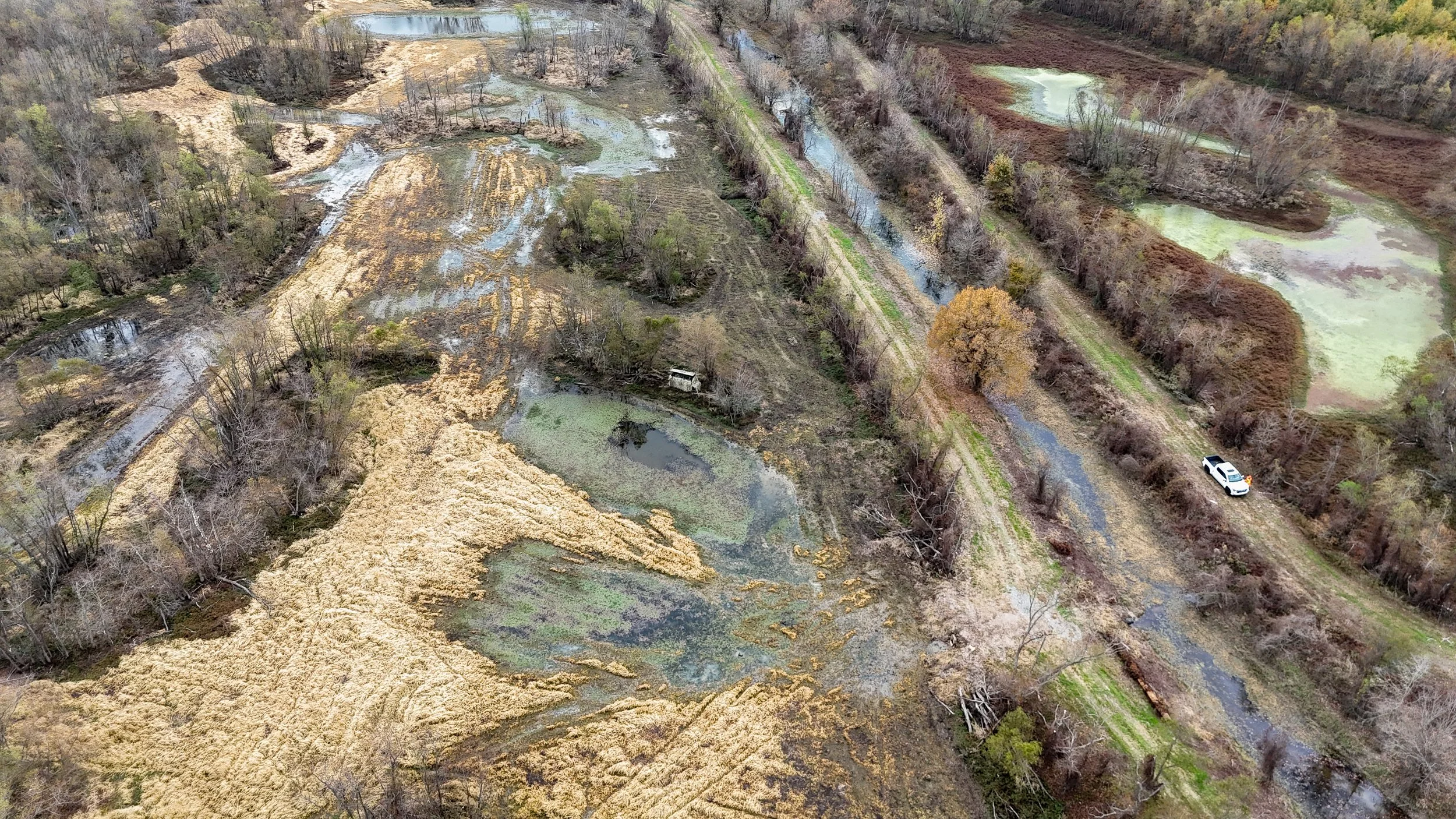 dji_fly_20251115_094444_0051_1763221778417_photo.jpg