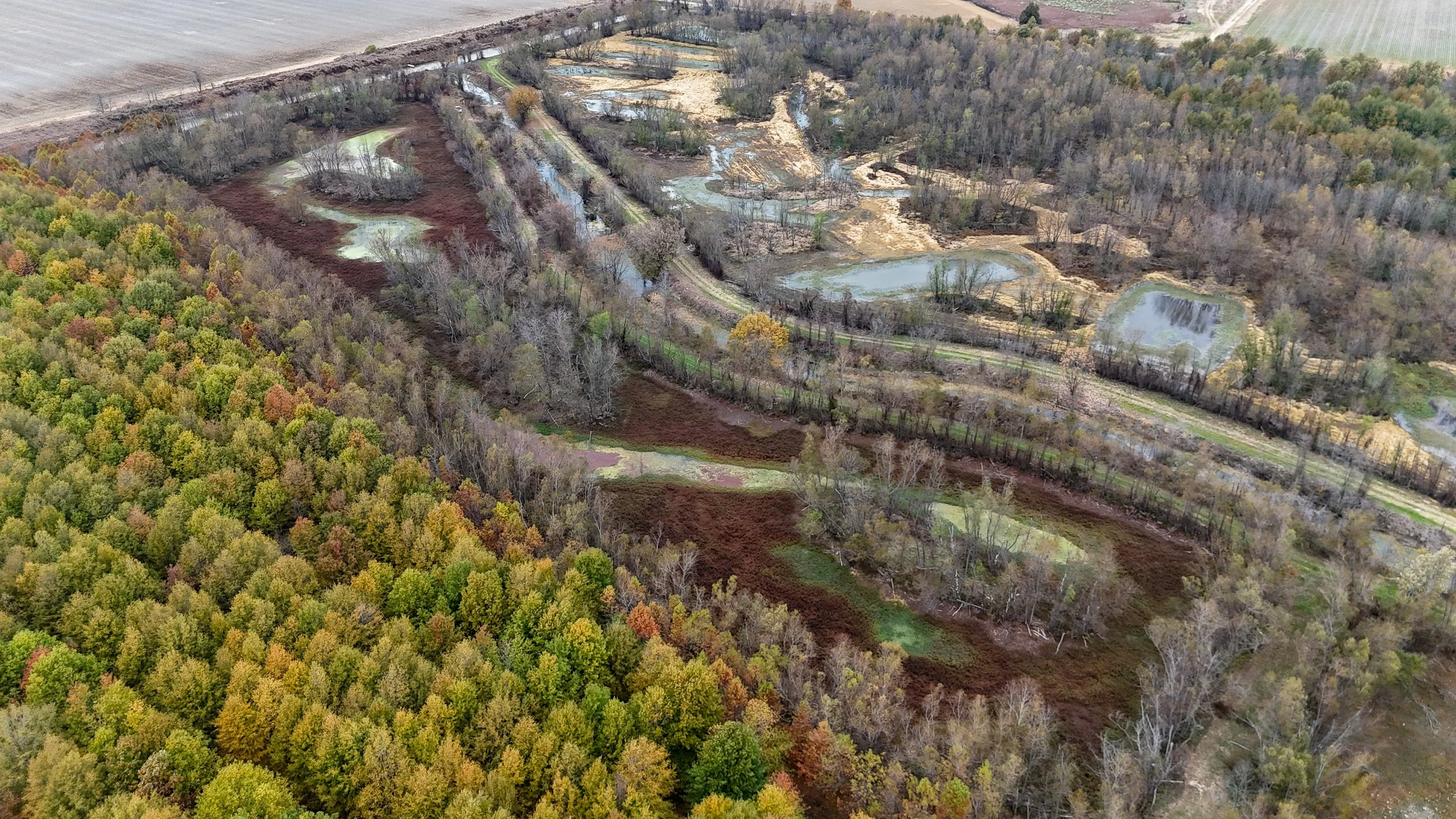 dji_fly_20251115_094952_0053_1763221767845_photo.jpg